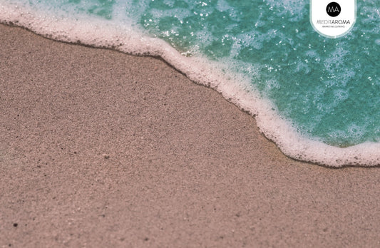 Aromas que Enamoran en Verano: Las Fragancias que Tu Hogar Necesita esta Temporada