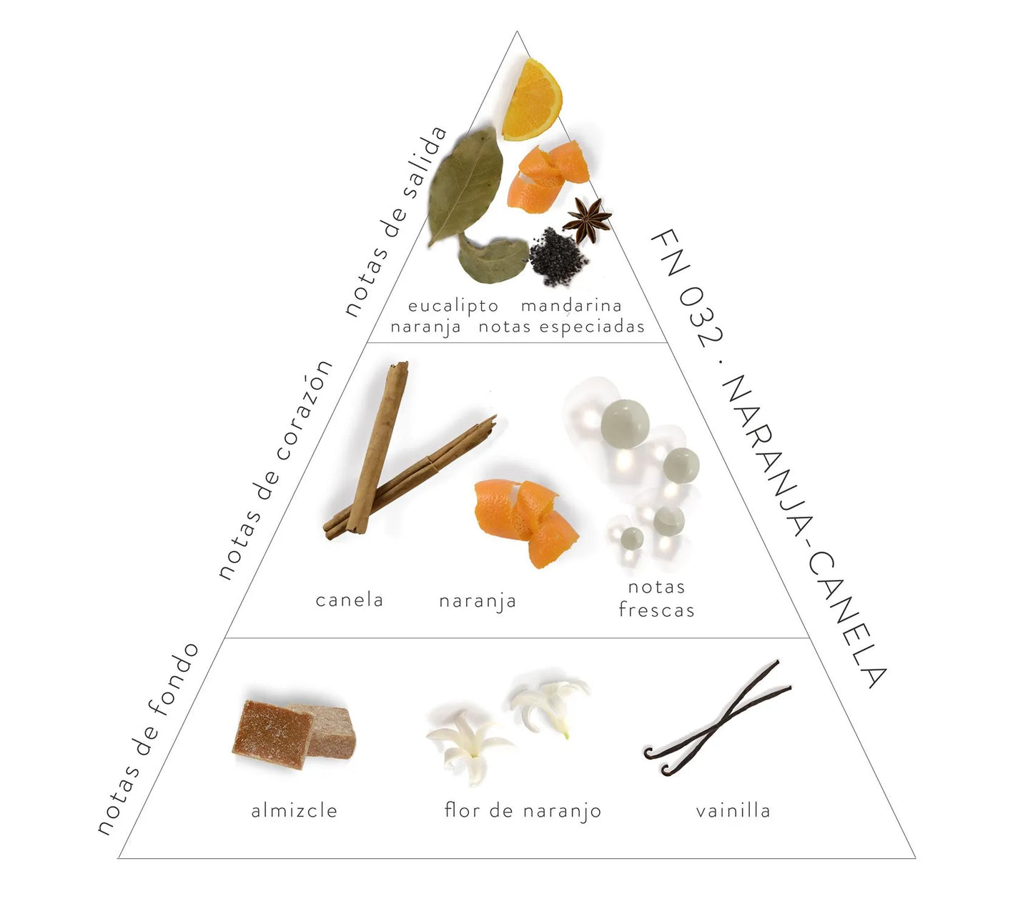 Pirámide Olfativa Naranja-Canela: notas de salida; eucalipto, naranja, mandarina y notas especiadas. Notas de corazón: canela, naranja y notas frescas. Notas de fondo: almizcle, flor de naranjo y vainilla.