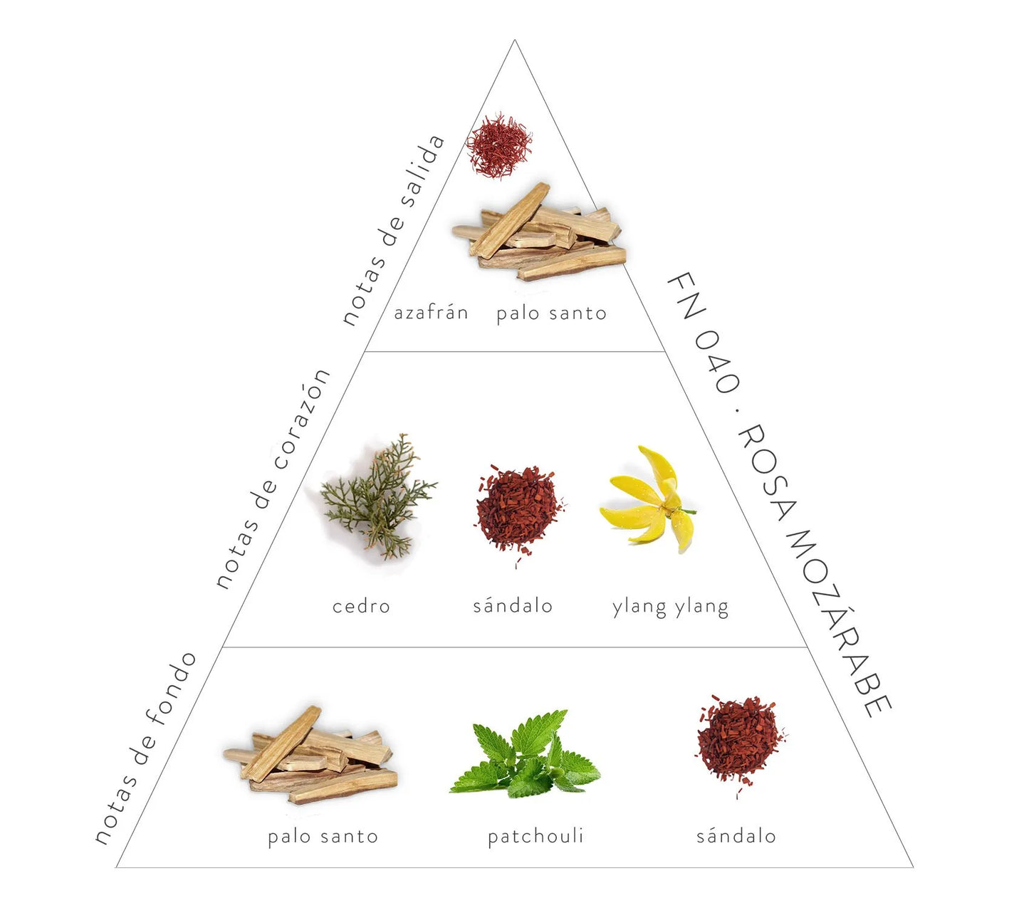 Pirámide Olfativa Rosa Mozárabe: Notas de salida: azafrán y palo santo. Notas de corazón: cedro, sándalo y ylan ylang. Notas de fondo: Palo santo, patchouli y sándalo