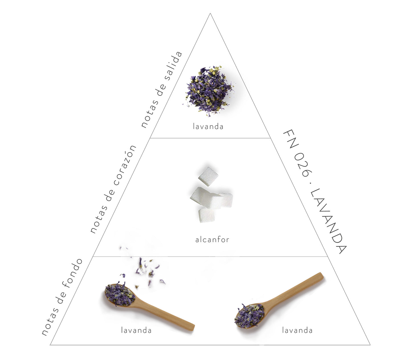 Pirámide Olfativa Lavanda: Notas de salida: lavanda. Notas de corazón: alcanfor. Notas de fondo: lavanda