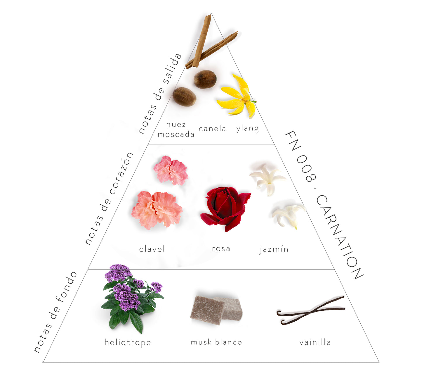 Pirámide Olfativa Carnation: Notas de salida: Nuez moscada, canela  y ylang, Notas de corazón: clavel, rosa y jazmín. Notas de fondo: heliotrope, musk blanco y vainilla.