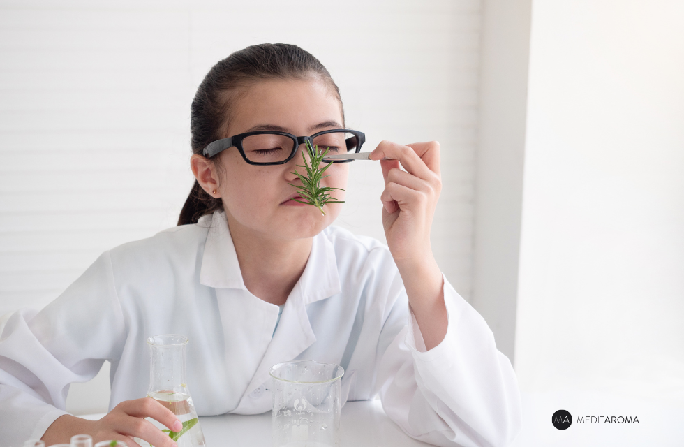La Ciencia Detrás del Sentido del Olfato