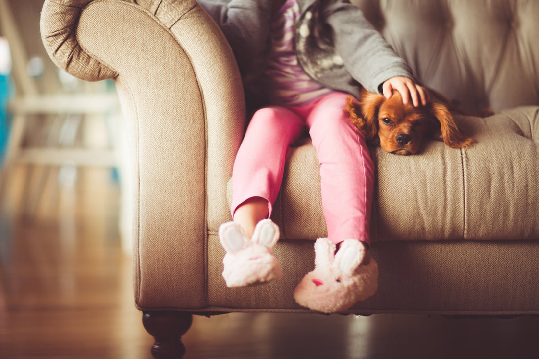 ¿Cómo puede PROTECT-ANIMAL beneficiar a mi mascota?