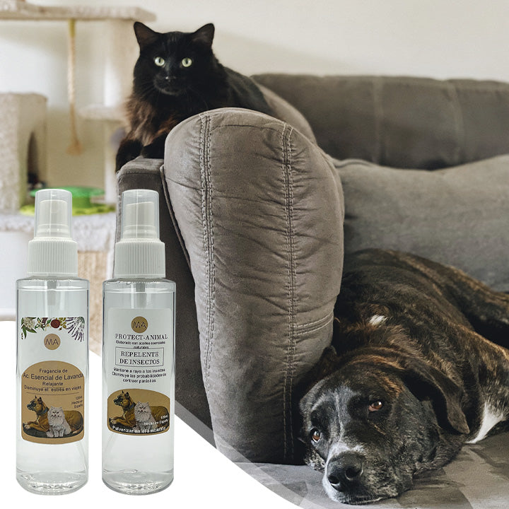 Protect-animal: Aromaterapia para mascotas