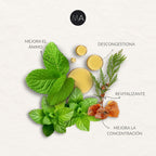 Ambientador de Aceite Esencial de Menta Piperita