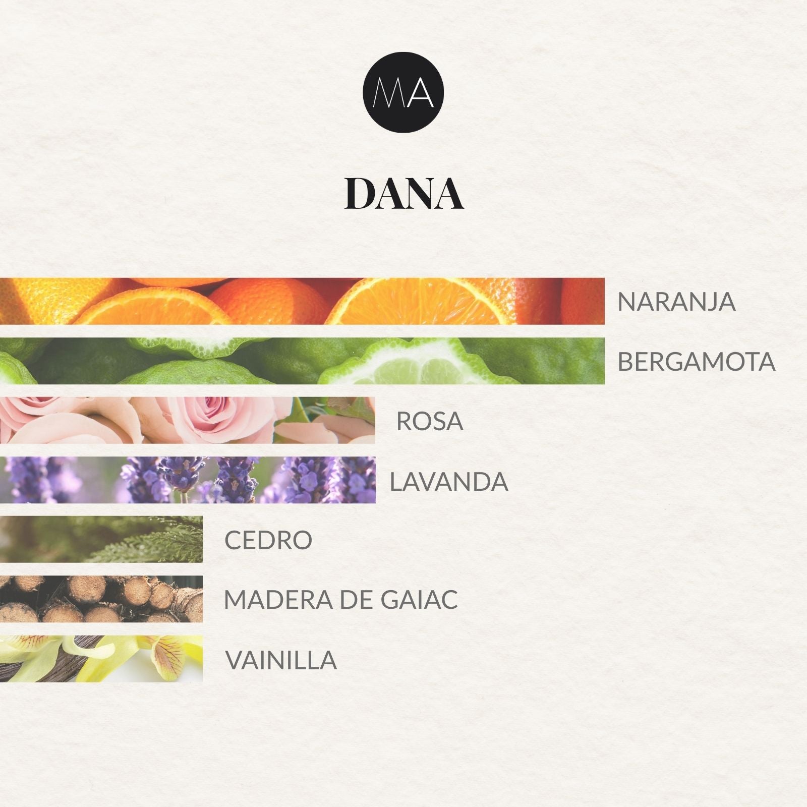 Ambientador Dana