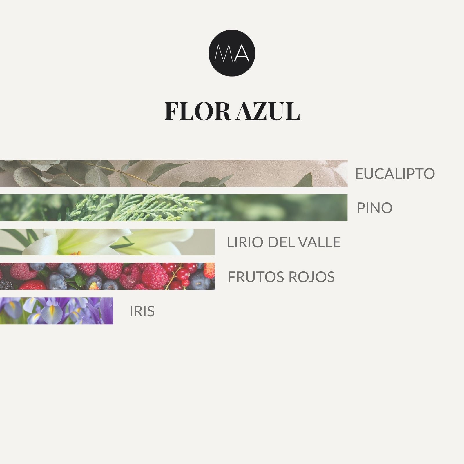 Ambientador Flor Azul