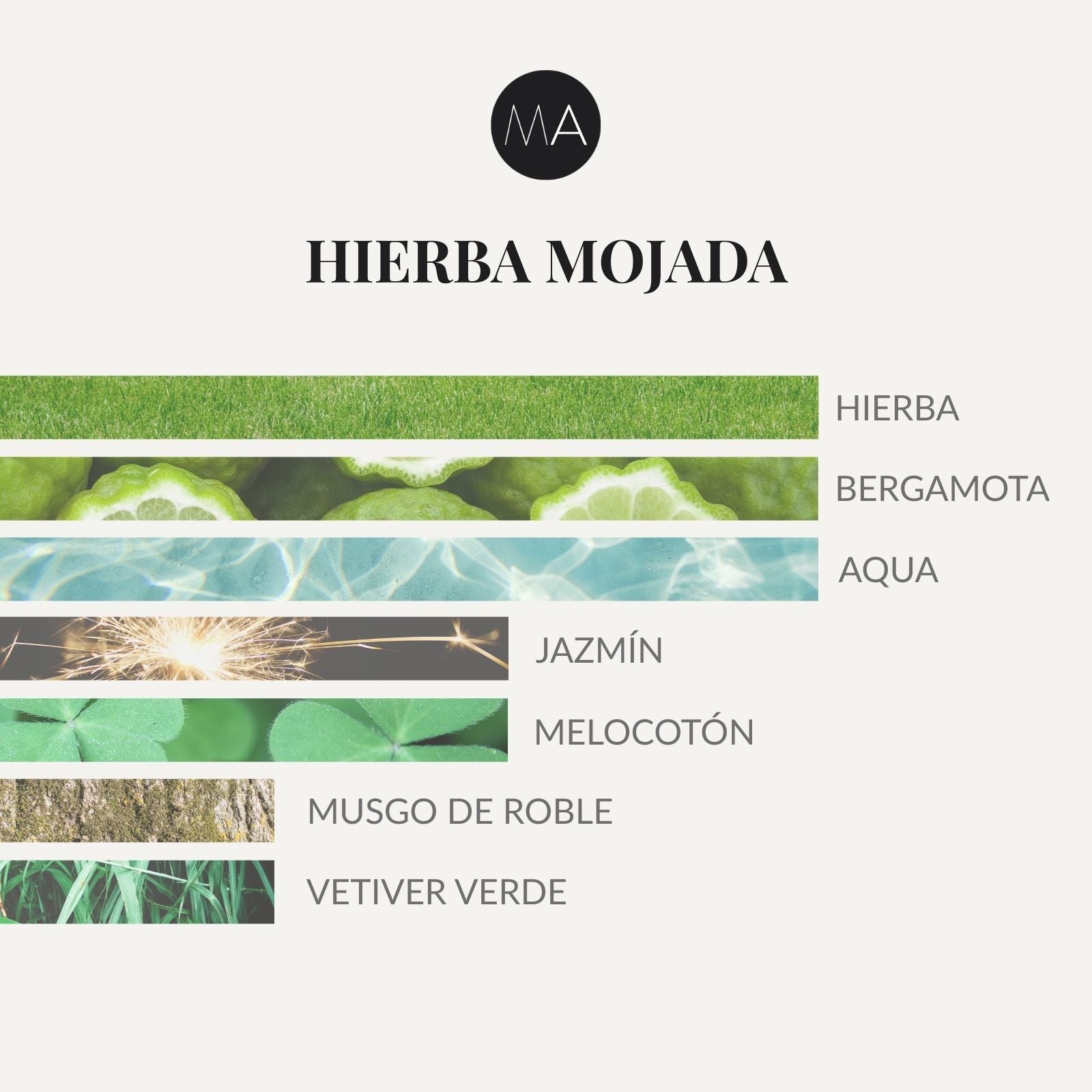 Ambientador Hierba Mojada