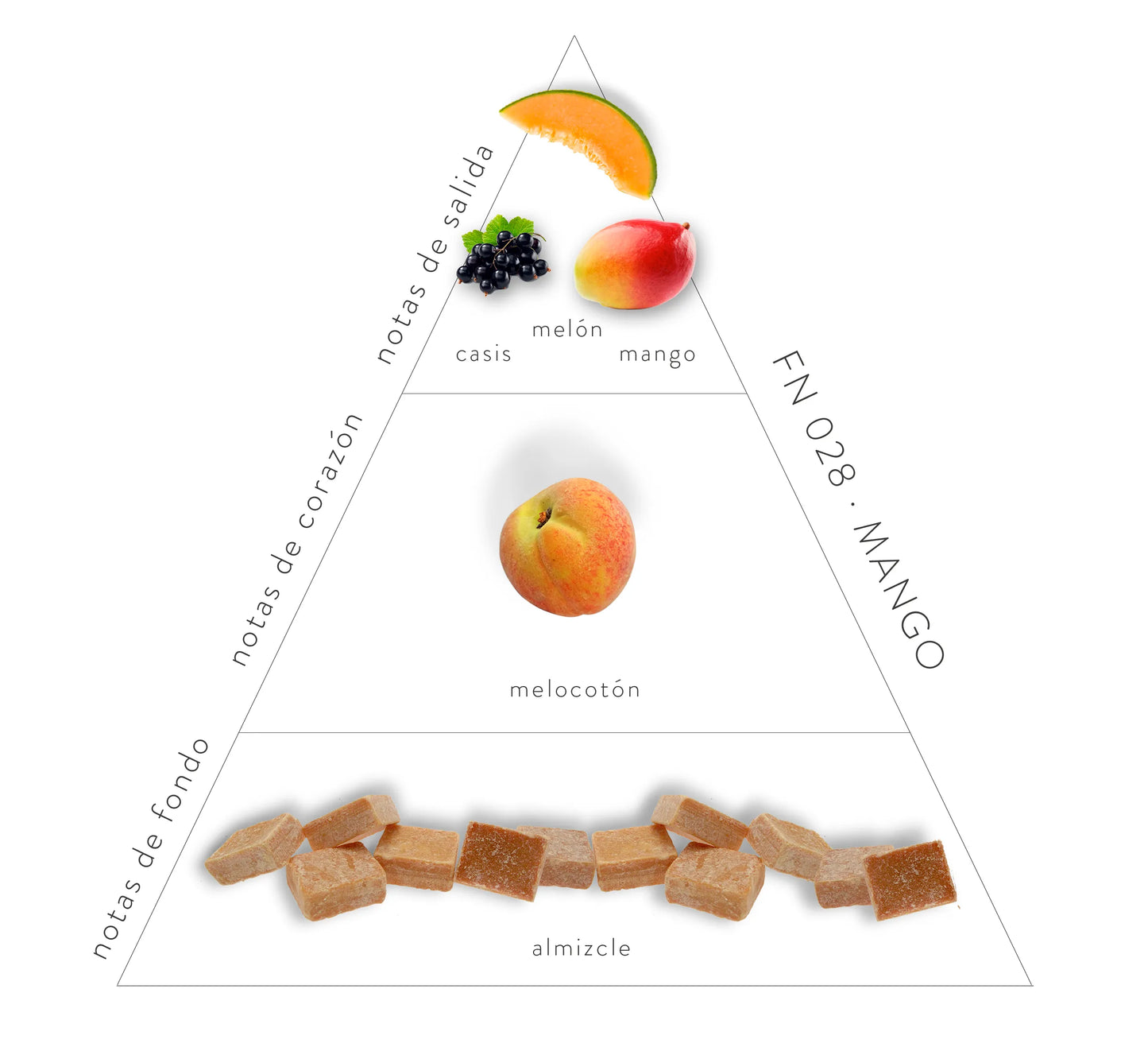 pirámide olfativa mango: notas de fondo, almizcle; notas de corazón, melocotón; notas de salida, casis, melón, mango