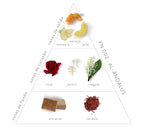 Pirámide Olfativa Al-Ándalus; Notas de salida: manzana, naranja y piña. Notas de corazón: rosa, jazmín y muguet. Notas de fondo; almizcle y sándalo.