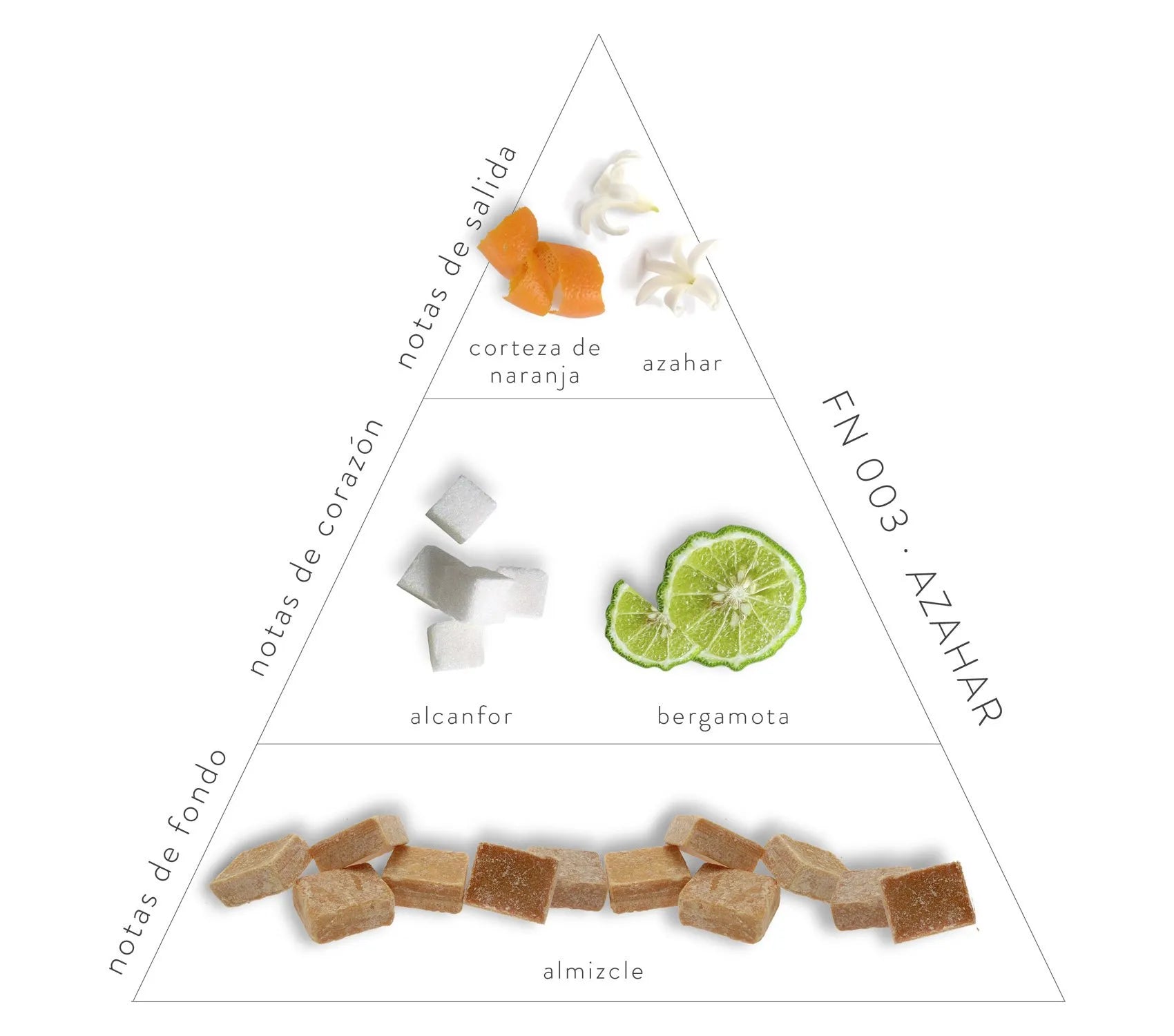 Pirámide Olfativa Azahar; notas de salida: corteza de naranja y azahar. Notas de corazón; alcanfor y bergamota. Notas de fondo: almizcle.