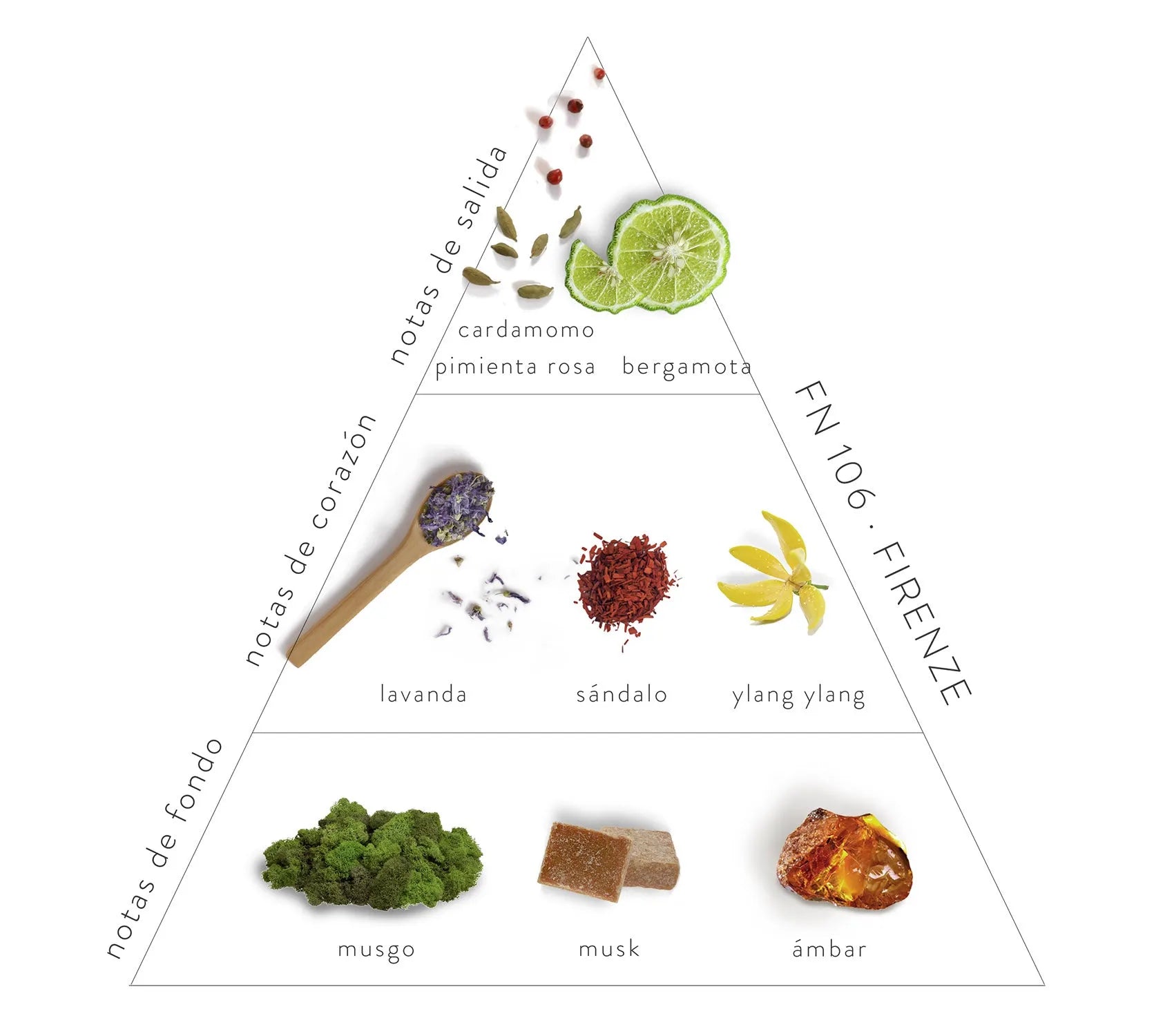 notas de fondo: musgo, musk, ámbar; notas de corazón, lavanda, sándalo, ylang ylang; notas de salida, cardamomo, pimiento rosa, bergamota