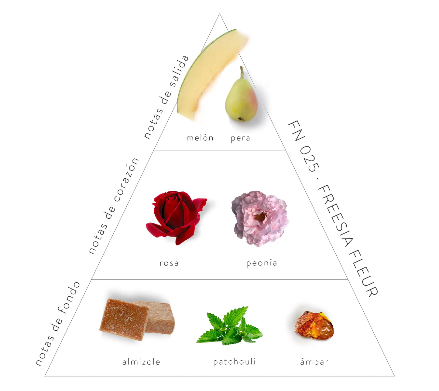 Pirámide Olfativa Freesia Fleur: notas de salida: melón y pera. Notas de corazón: rosa y peonía. Notas de fondo: almizcle, patchouli y ámbar