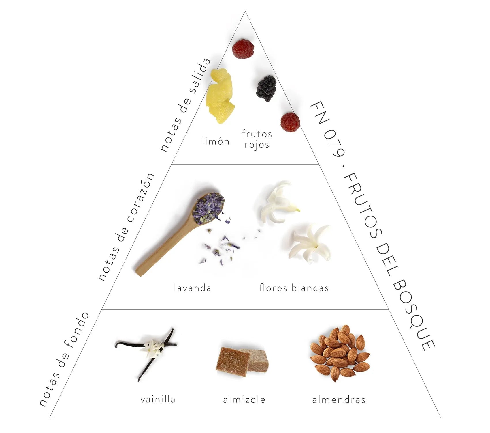 Pirámide Olfativa Frutos del Bosque: Notas de salida: limón y frutos rojos. Notas corazón: lavnada y flores blancas. Notas de fondo: vainilla, almizcle y almendras.
