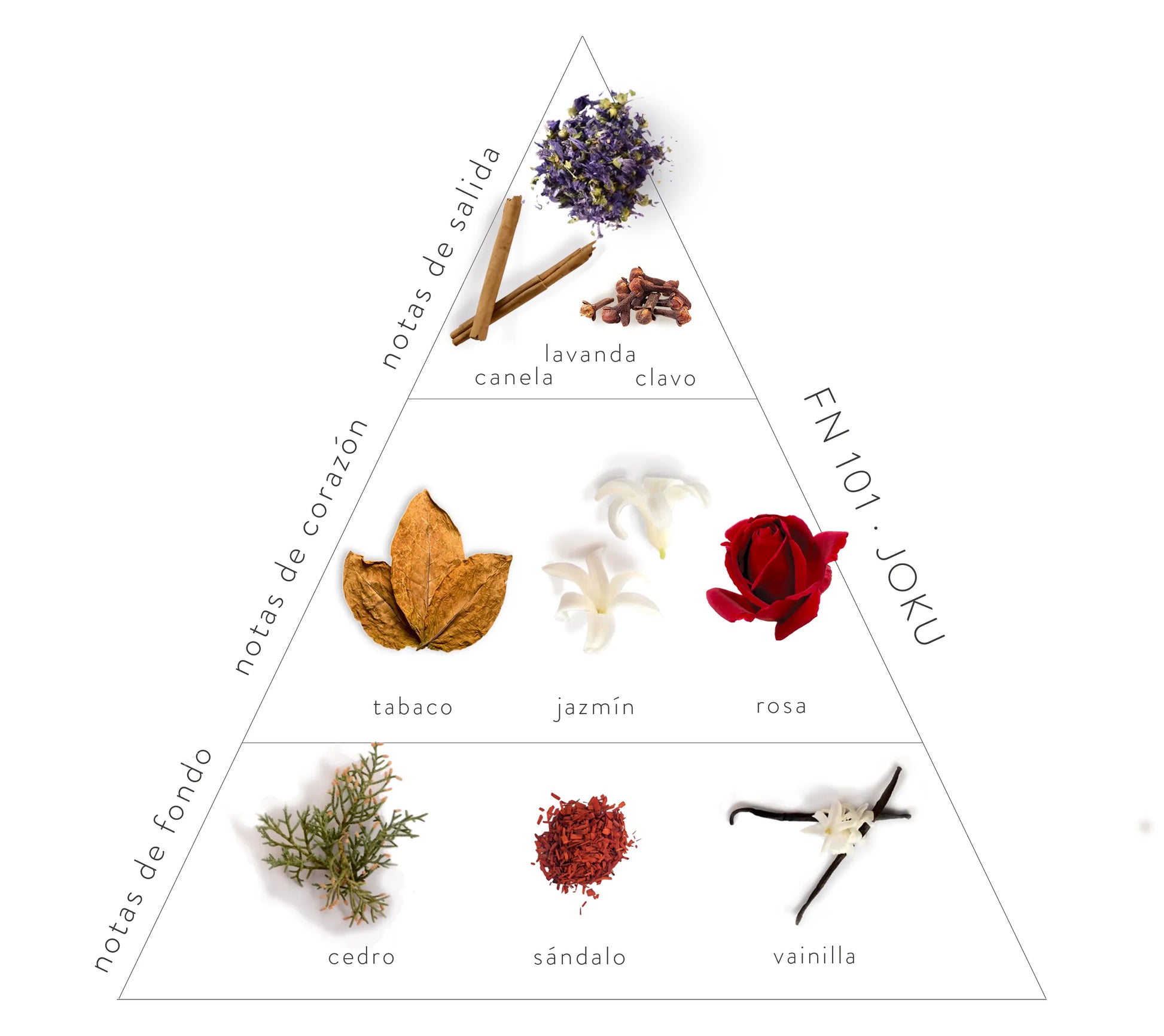 Pirámide Olfativa Joku: Notas de salida; canela, lavanda y clavo. Notas de corazón: tabaco, jazmín y rosa. Notas de fondo: cedro, sándalo y vainilla