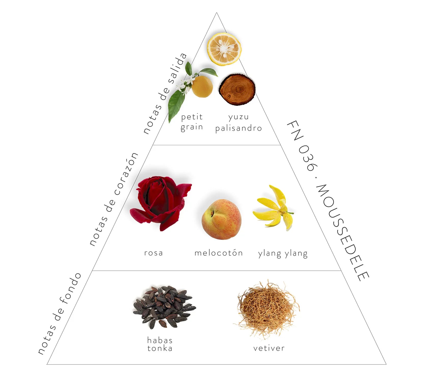 Pirámide Olfativa Moussedele; notas de salida: petit grain, yuzu, palisandro. Notas de corazón: rosa, melocotón y ylang ylang. Notas de fondo: habas tonka y vetiver.