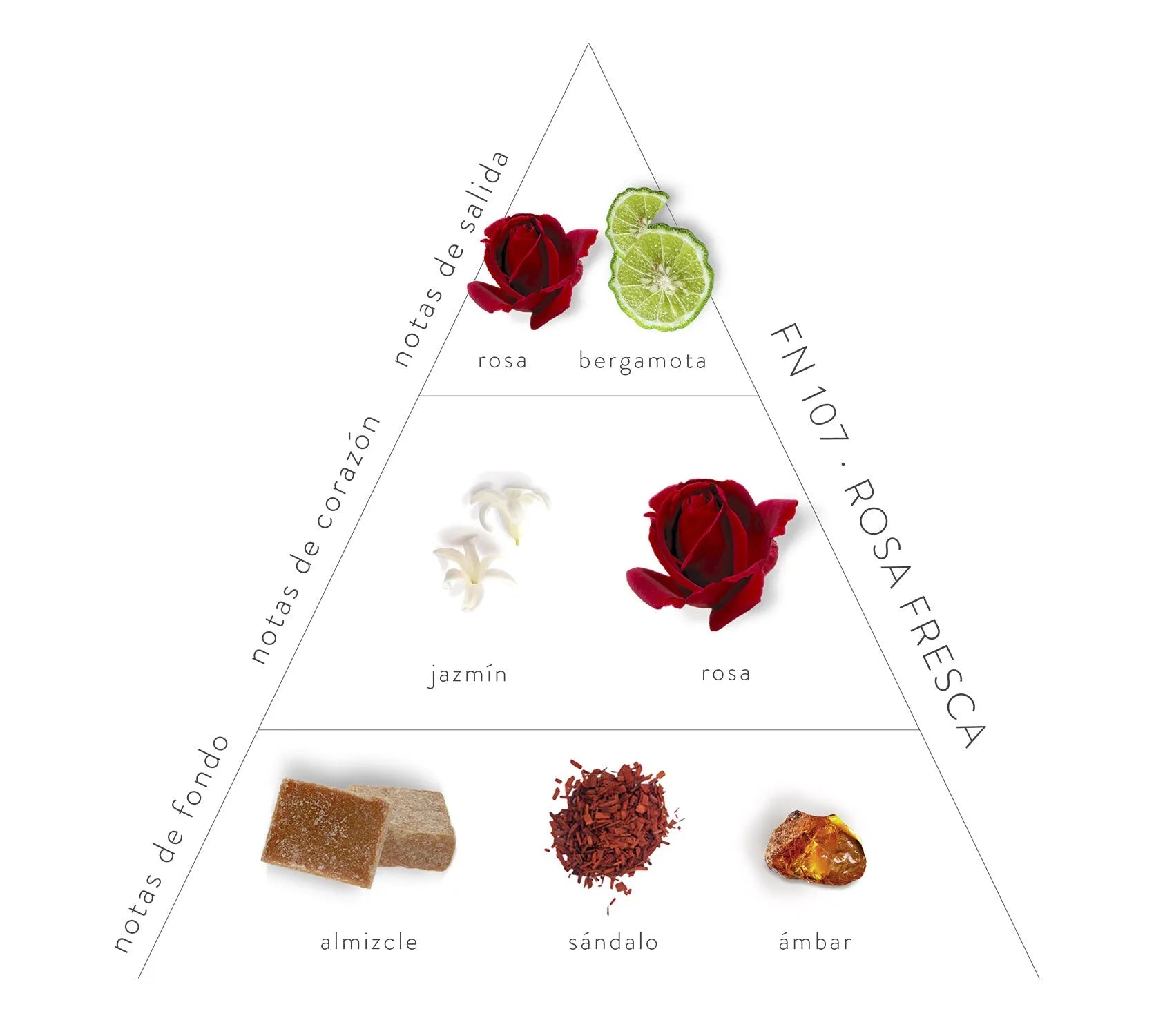 Pirámide Olfativa Rosa Fresca; Notas de salida: rosa y bergamota. Notas de corazón: jazmín y rosa. Notas de fondo: almizcle, sándalo y ámbar.