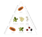 Pirámide Olfativa de Sueño de una Noche de Verano: Notas de salida: papaya. Notas de corazón: hierbabuena, manzana y notas frescas. Notas de fondo: papaya, hierbabuena y frutos rojos