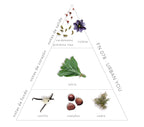 Pirámide Olfativa Urban You: Notas de salida: cardamomo, pimienta rosa y violeta. Notas de corazón: salvia. Notas de fondo: vainilla, castañas y cedro.