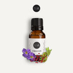 Bote con cuentagotas esencias para humidificador, fragancia Urban You perfumada y elegante.