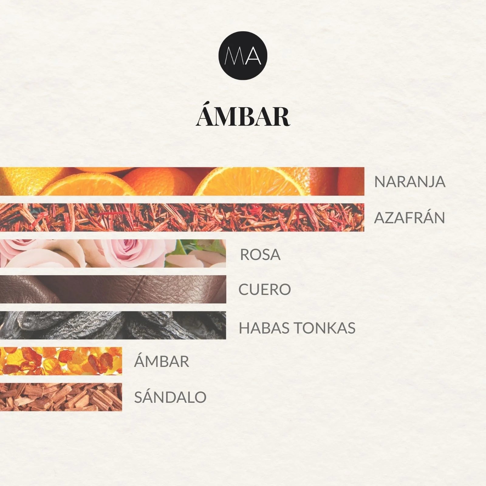 Composición olfativa Ámbar con carácter profundo, envolvente y sofisticado