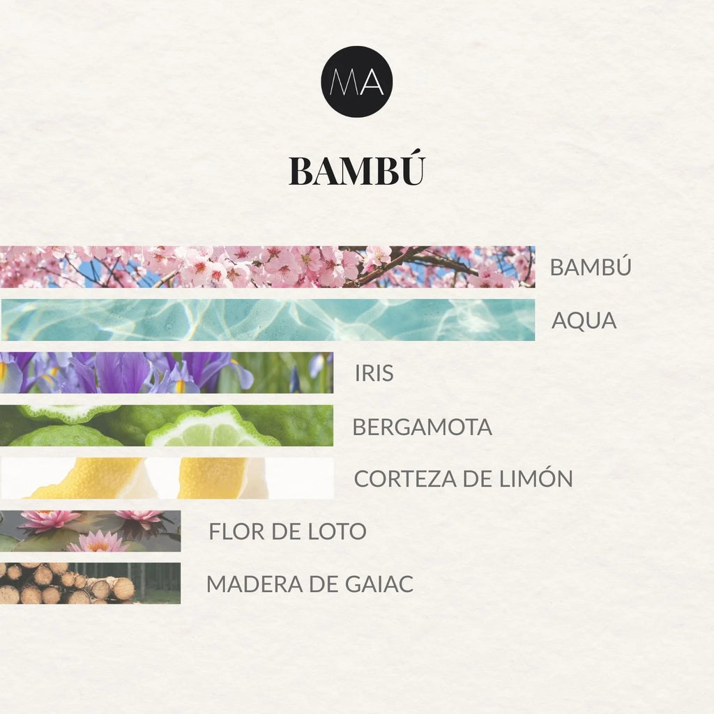 Composición olfativa Bambú con carácter fresco, luminoso y natural