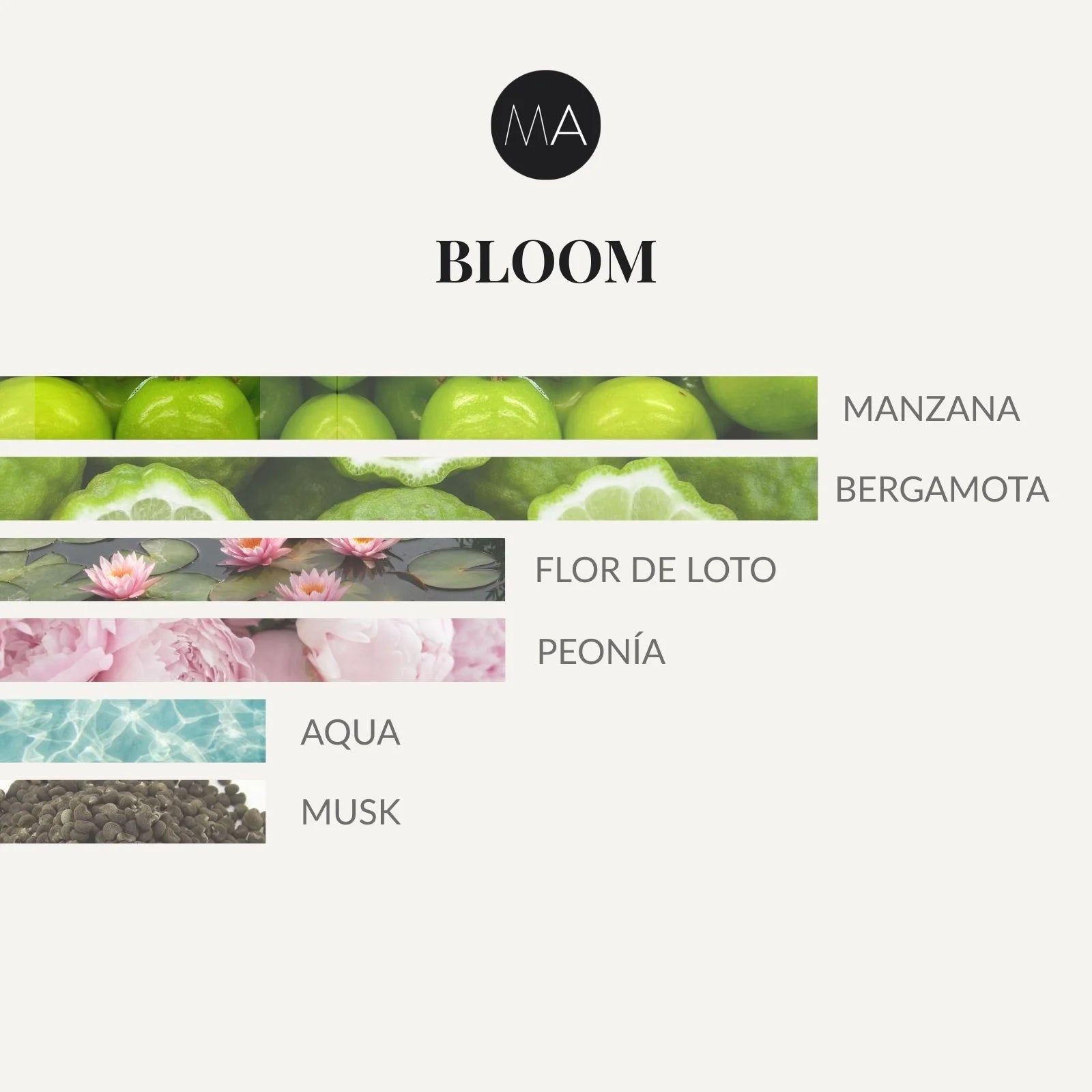 Composición olfativa de Bloom con salida de manzana y bergamota, corazón floral de loto y peonía, y fondo acuático con musk