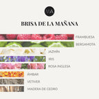 Composición olfativa Brisa de la Mañana con carácter luminoso, fresco y equilibrado