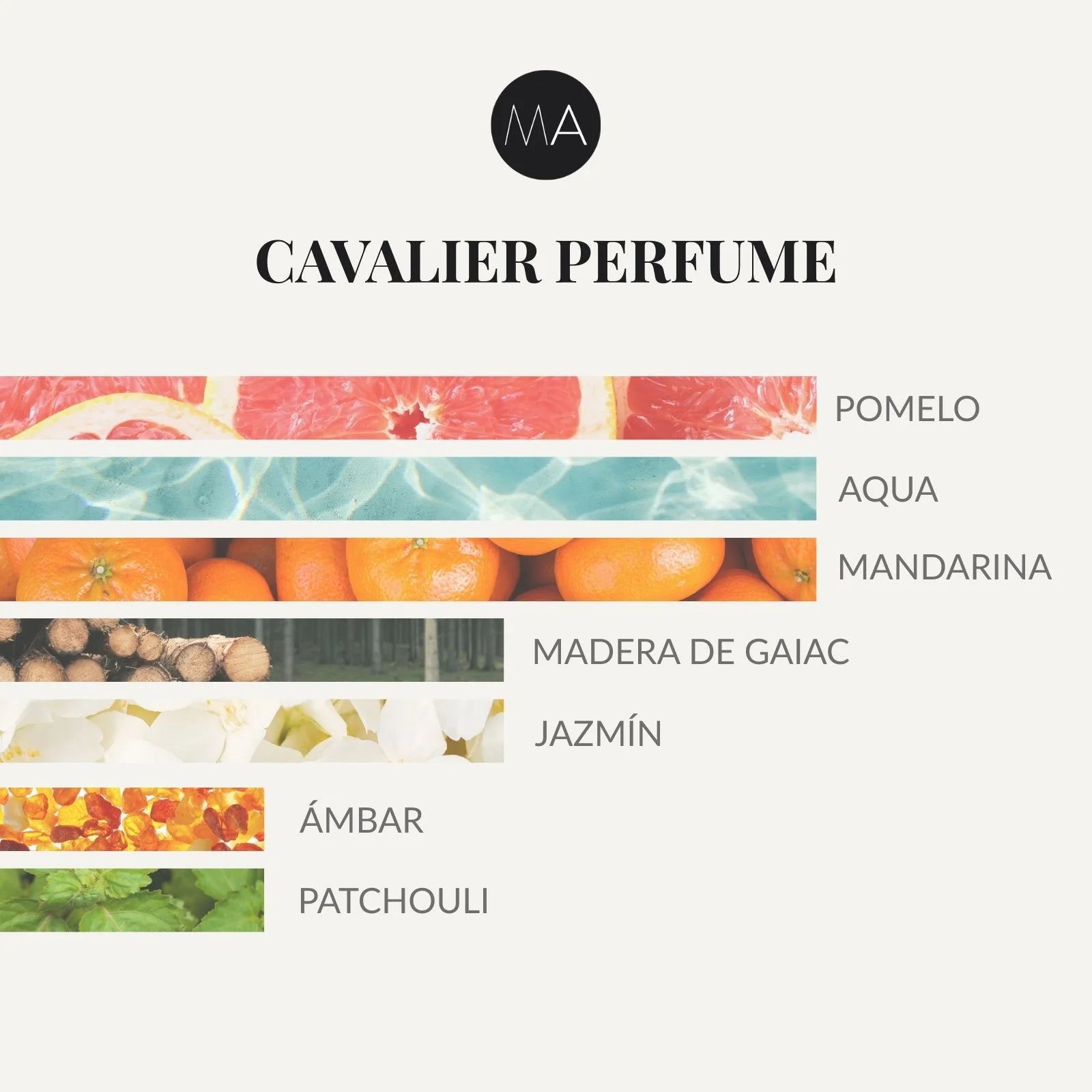 Composición olfativa Cavalier Perfume con frescura cítrica, matices acuáticos y un fondo elegante y envolvente