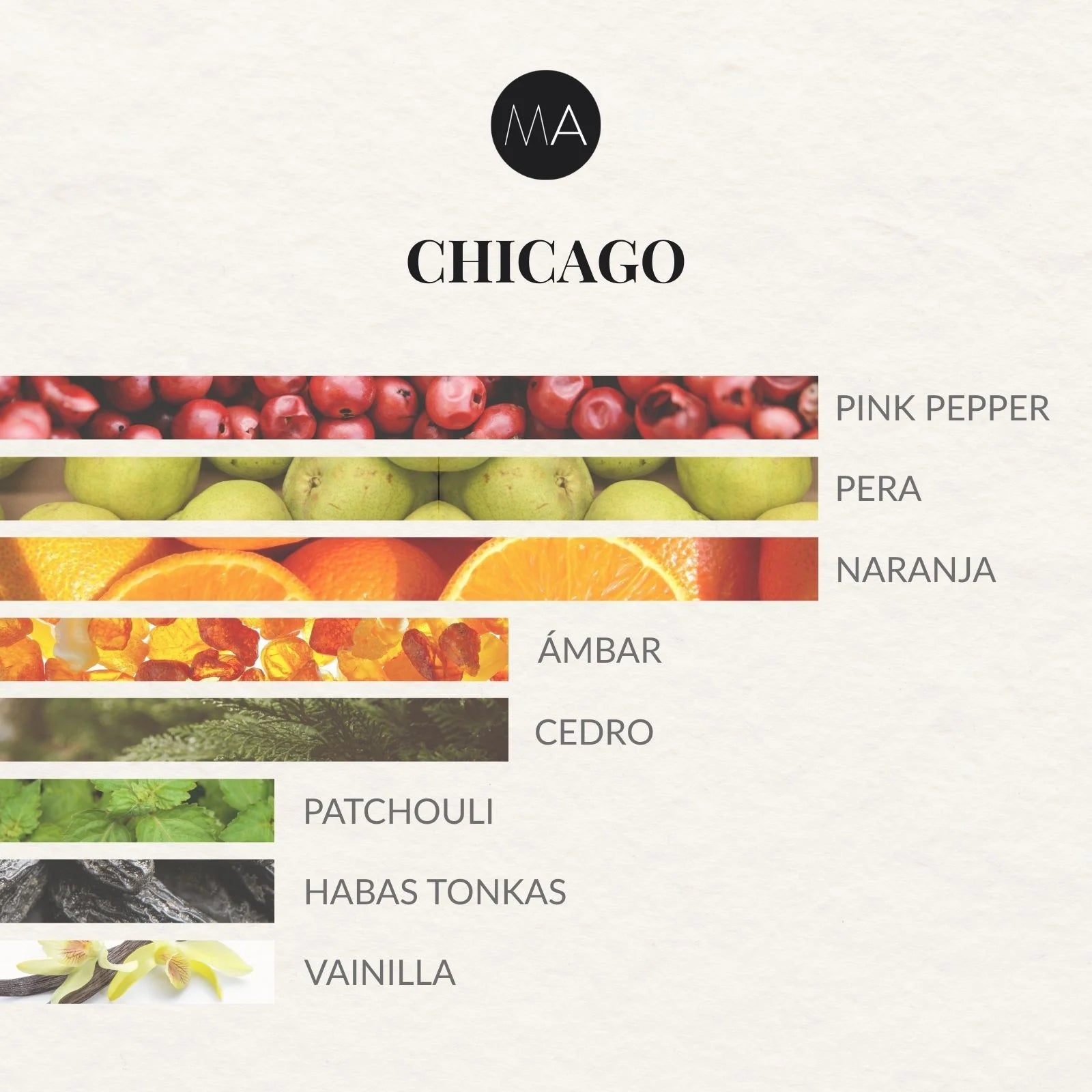 Composición olfativa Chicago con cítricos vibrantes, matices frutales y un fondo envolvente y sofisticado