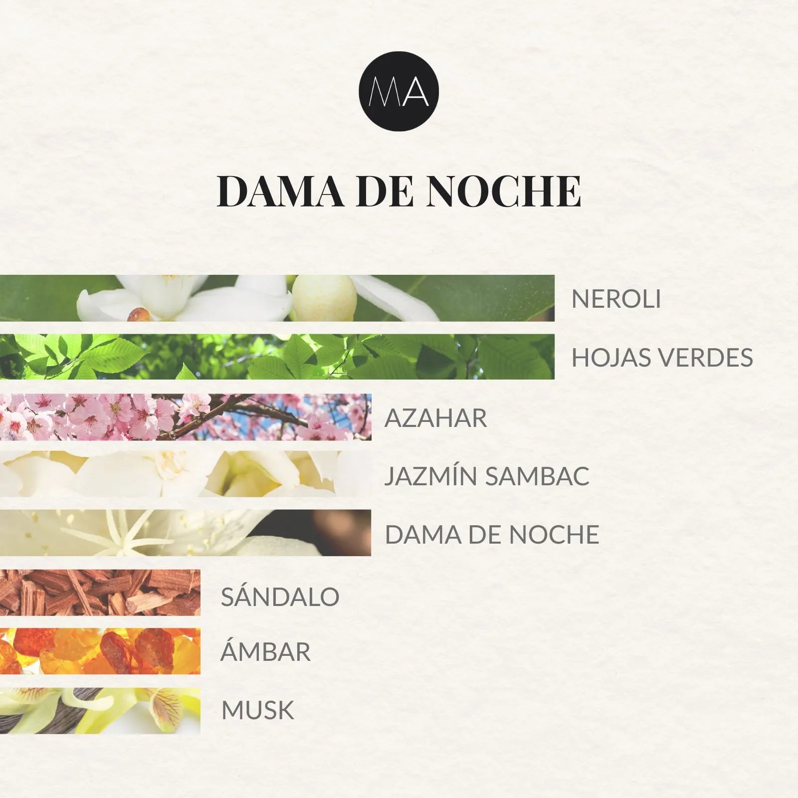 Composición olfativa Dama de Noche con carácter elegante, profundo y sofisticado