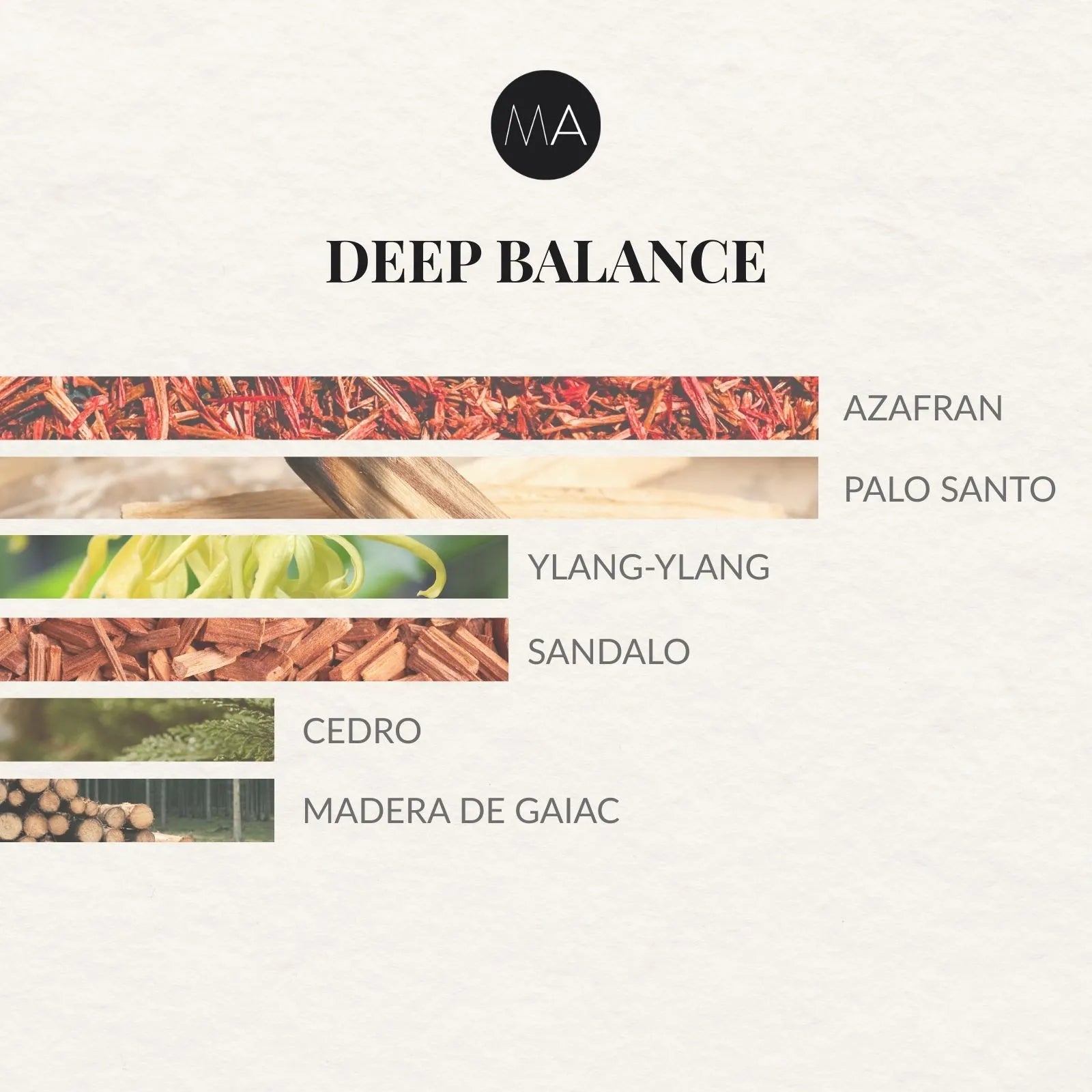 Composición olfativa Deep Balance con maderas nobles y matices envolventes equilibrados