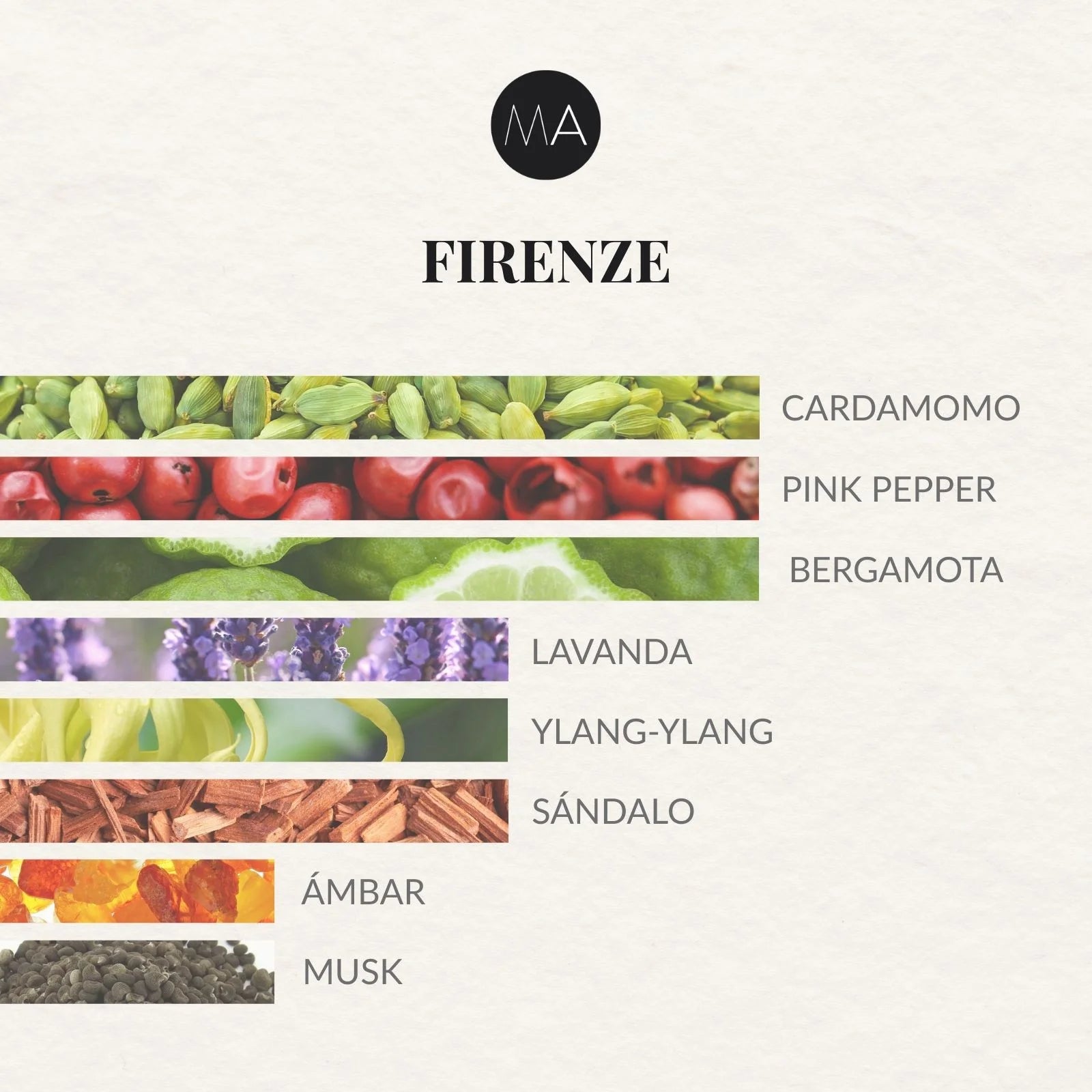 Composición olfativa Firenze con frescura cítrica, matices especiados y un fondo elegante y envolvente