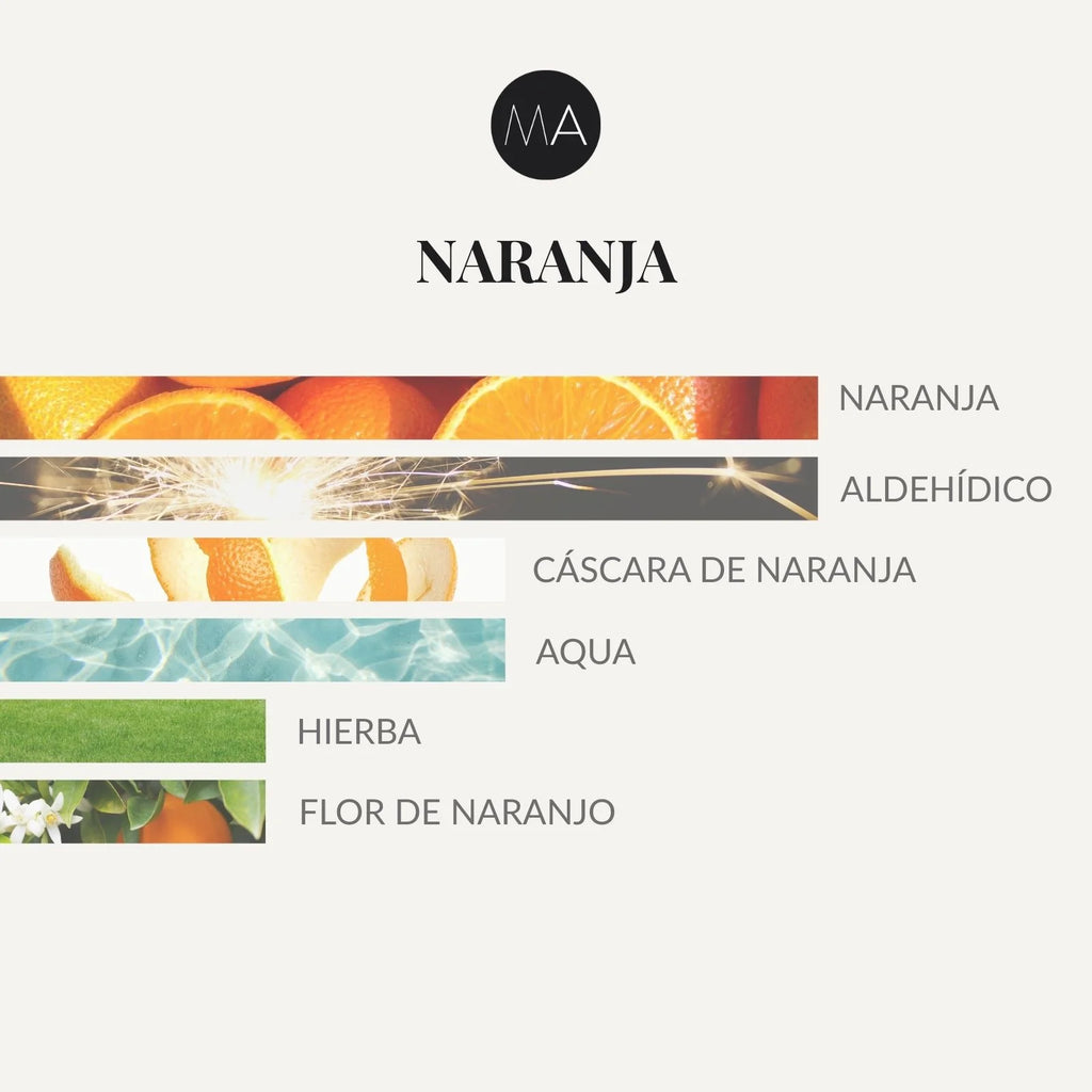 Pirámide olfativa de Naranja con notas de salida cítricas de naranja y aldehídos, corazón de cáscara de naranja y acordes acuáticos y fondo verde con hierba y flor de naranjo