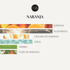 Pirámide olfativa de Naranja con notas de salida cítricas de naranja y aldehídos, corazón de cáscara de naranja y acordes acuáticos y fondo verde con hierba y flor de naranjo