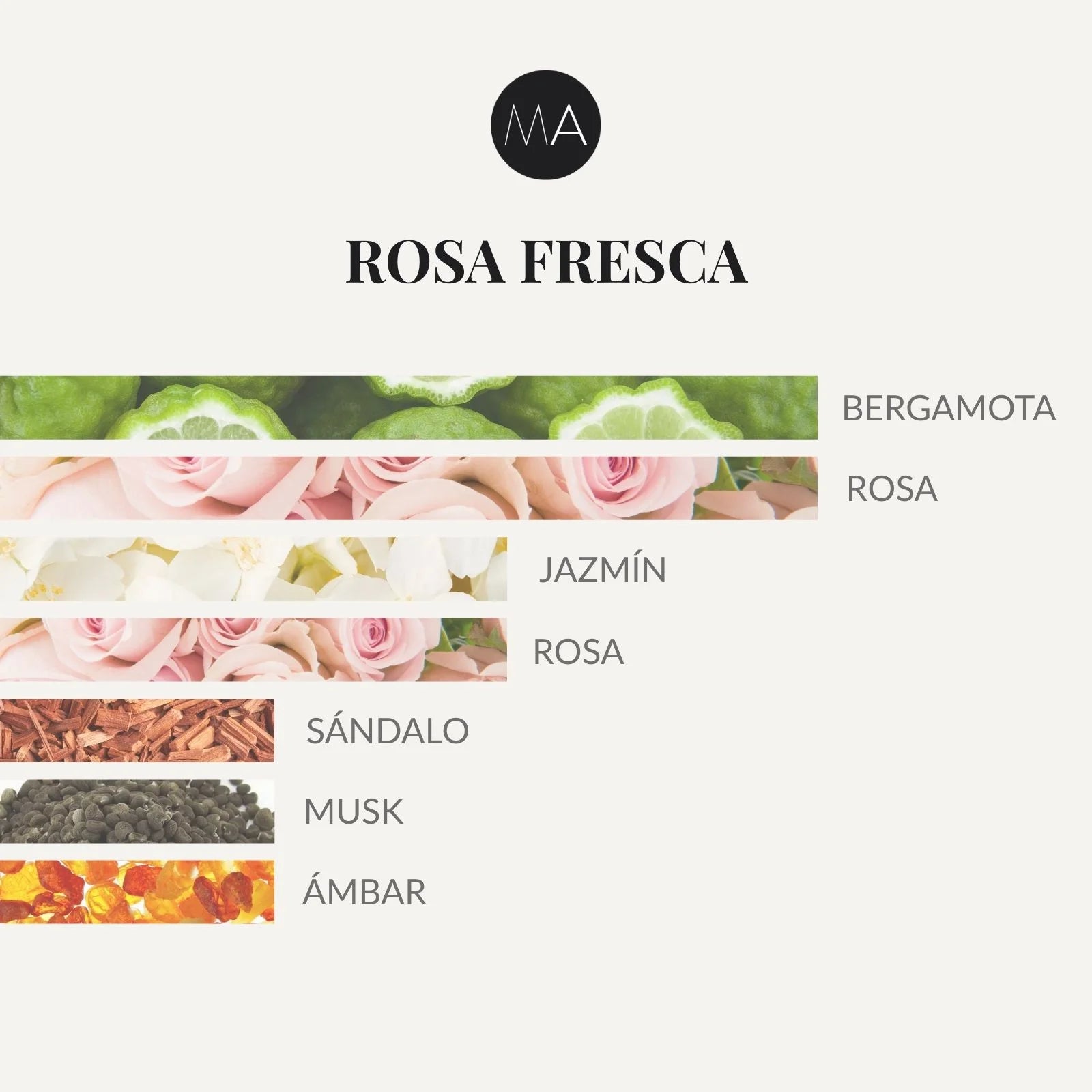 Composición olfativa Rosa Fresca con rosa luminosa, matices cítricos y fondo elegante de sándalo, ámbar y musk