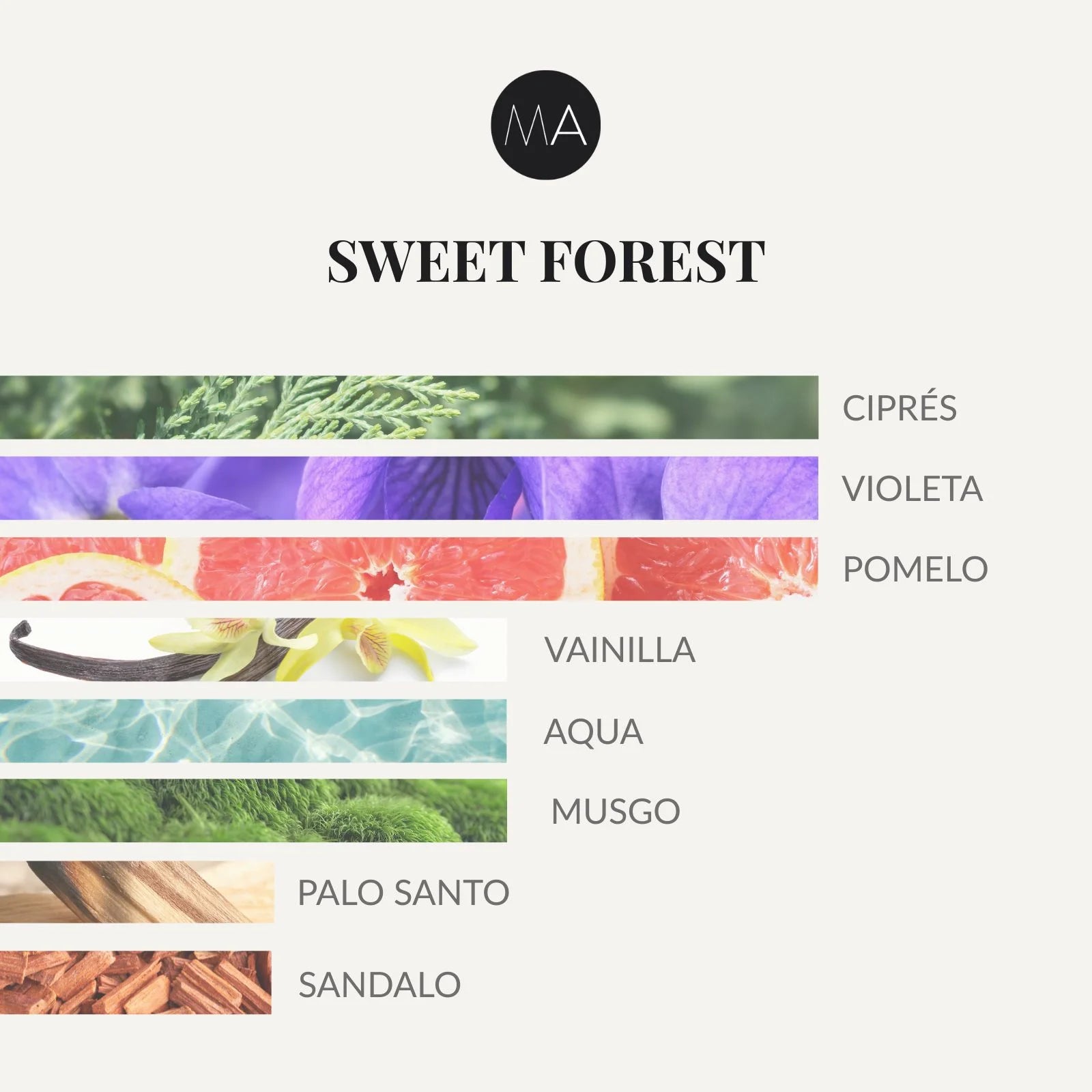 Composición olfativa Sweet Forest inspirada en un entorno natural con matices verdes y luminosos