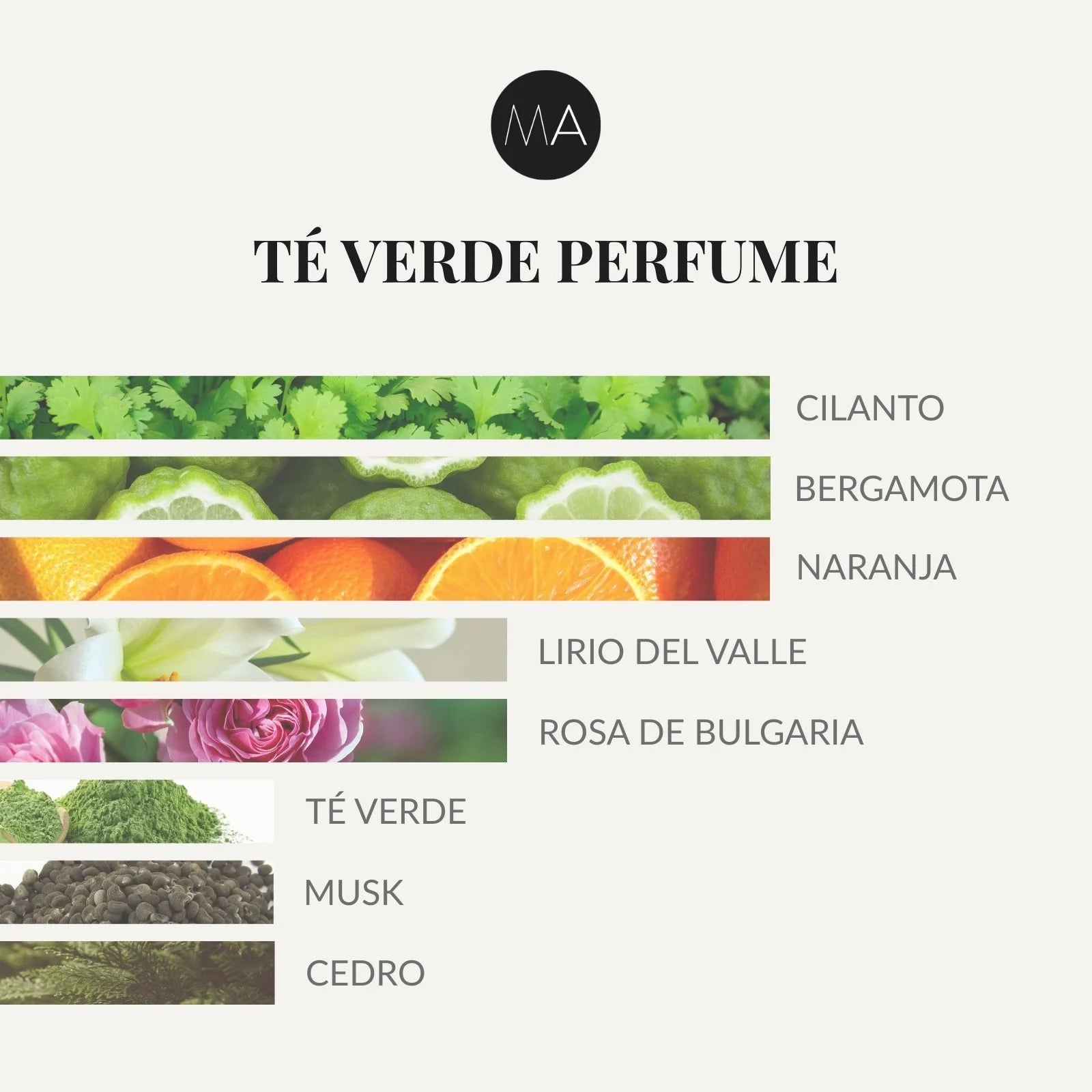 Composición olfativa Té Verde Perfume con cítricos frescos, notas verdes y un fondo suave, limpio y equilibrado