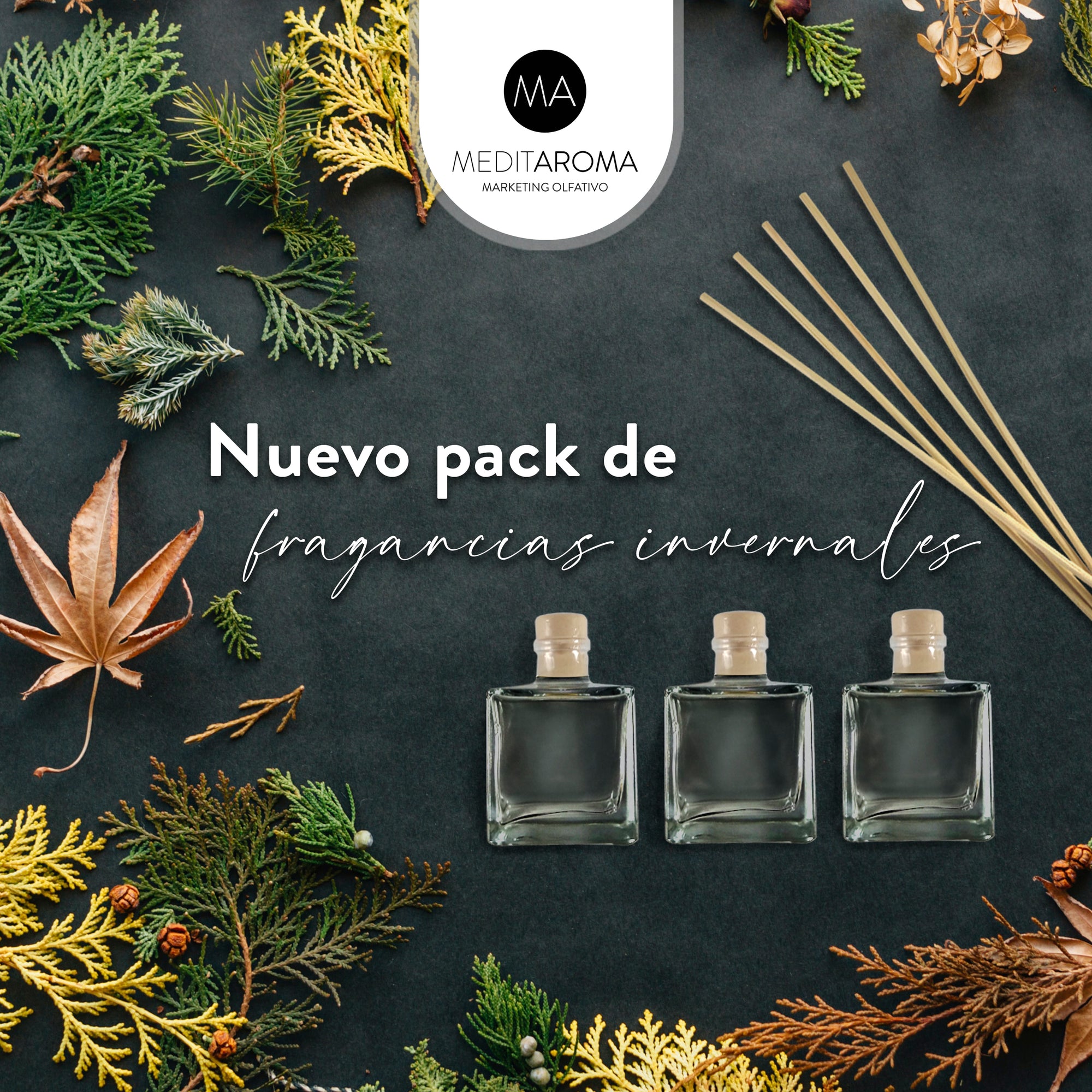 pack mikados fragancias invernales
