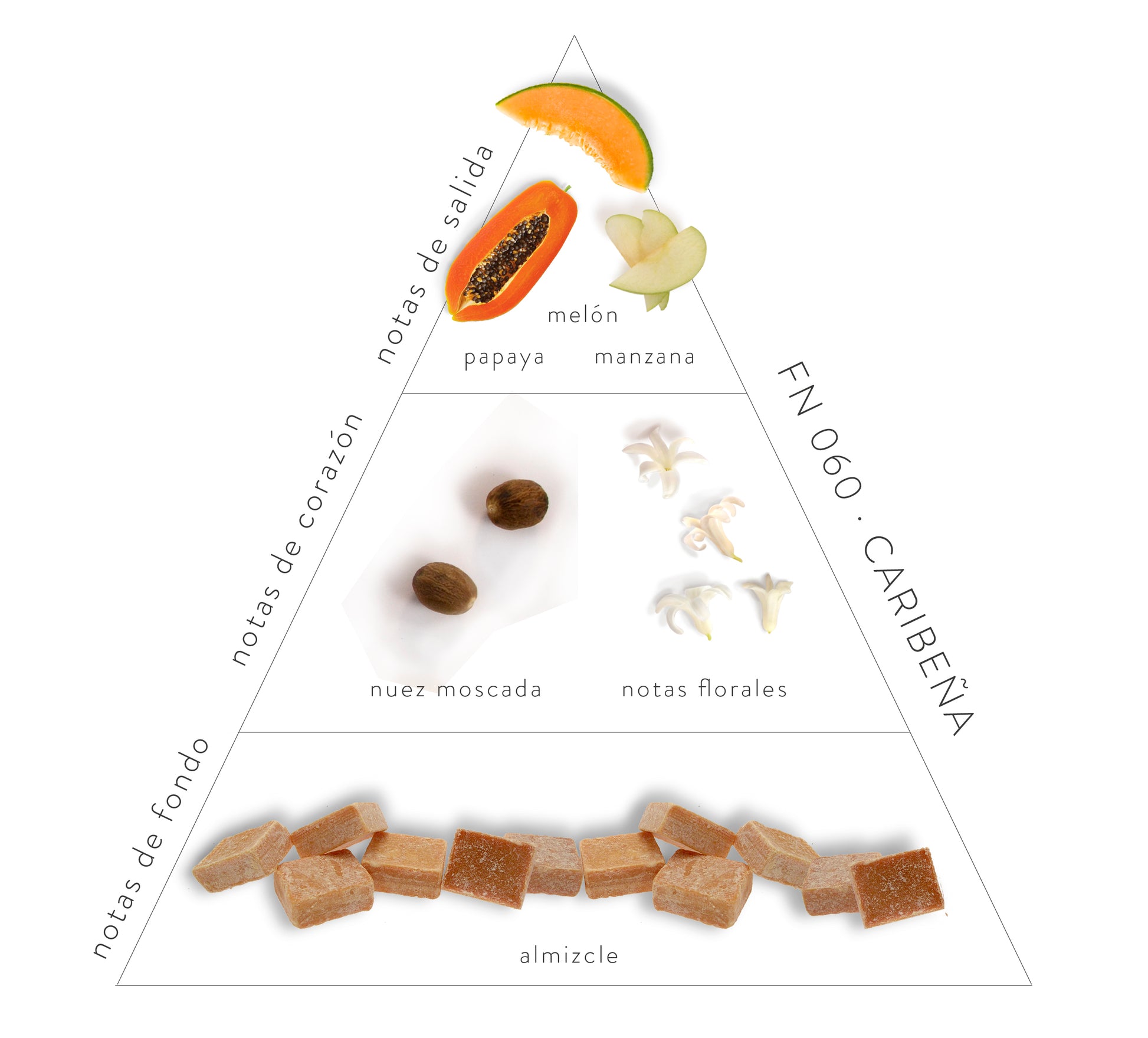 Pirámide Olfativa Caribeña: Notas de salida: papaya, melón y manzana. Notas de corazón: nuez moscada y notas de flores. Notas de fondo: almizcle