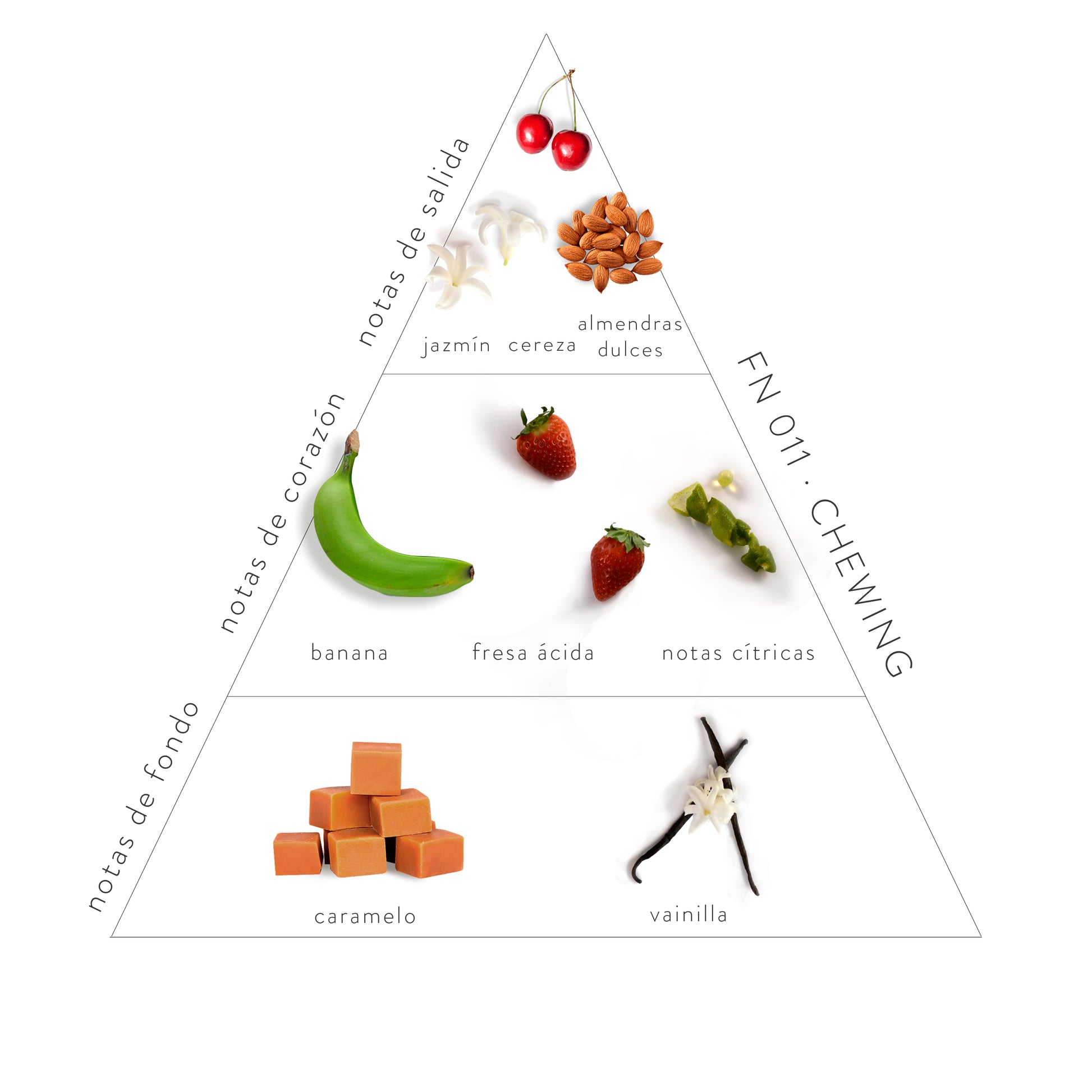 Pirámide Olfativa Chewing: Notas de salida: jazmín, cereza, almendras dulces. Notas de corazón: banana, fresa ácida y notas cítricas. Notas de fondo: caramelo y vainilla.
