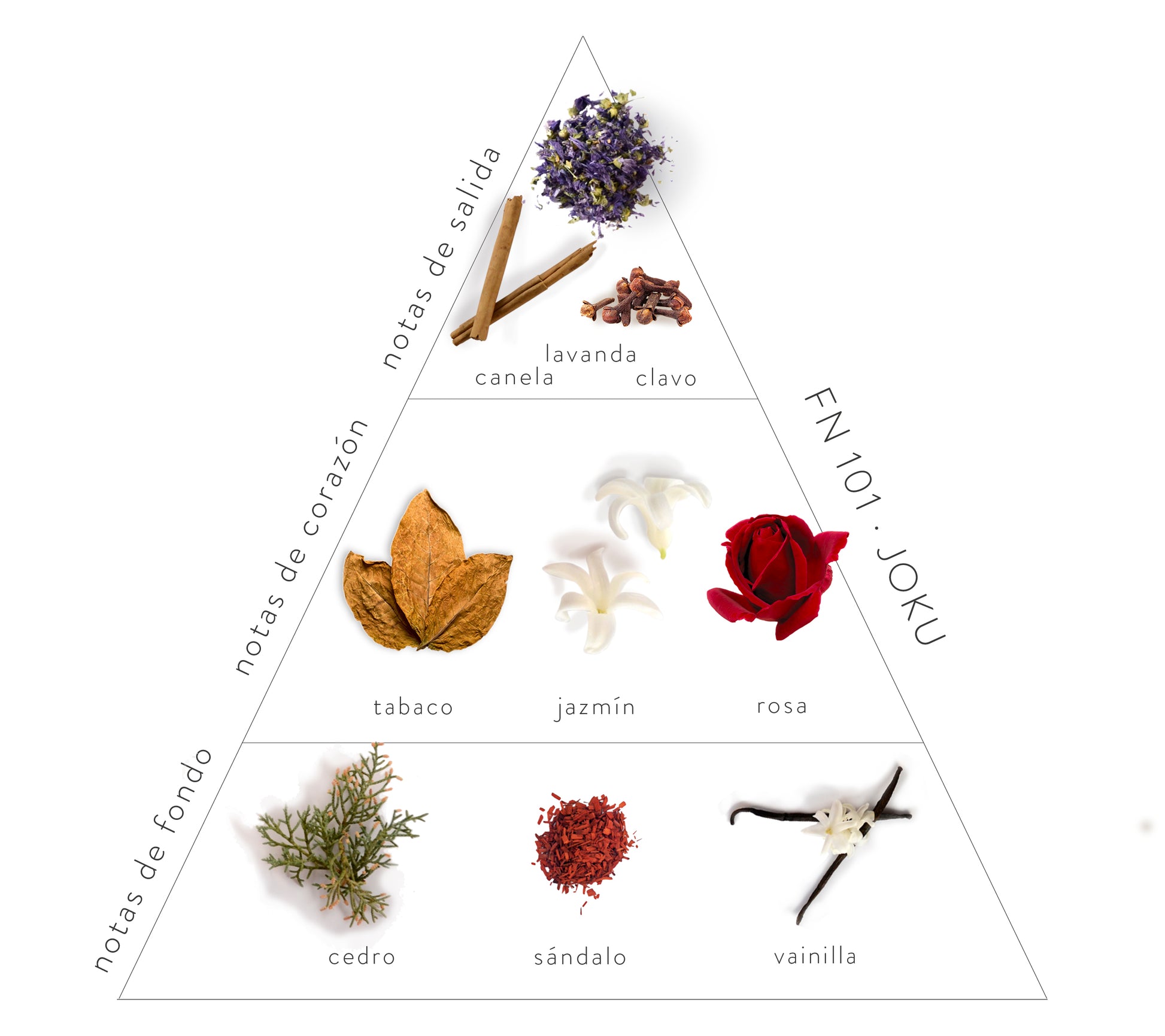 Pirámide Olfativa Joku: Notas de salida: canela, lavanda y clavo. Notas de corazón: tabaco, jazmín y rosa. Notas de fondo: cedro, sándalo y vainilla.
