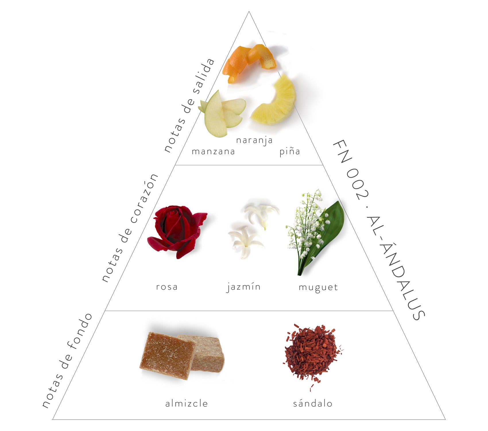 Pirámide Olfativa Al-Ándalus; Notas de salida: manzana, naranja y piña. Notas de corazón: rosa, jazmín y muguet. Notas de fondo: almizcle y sándalo