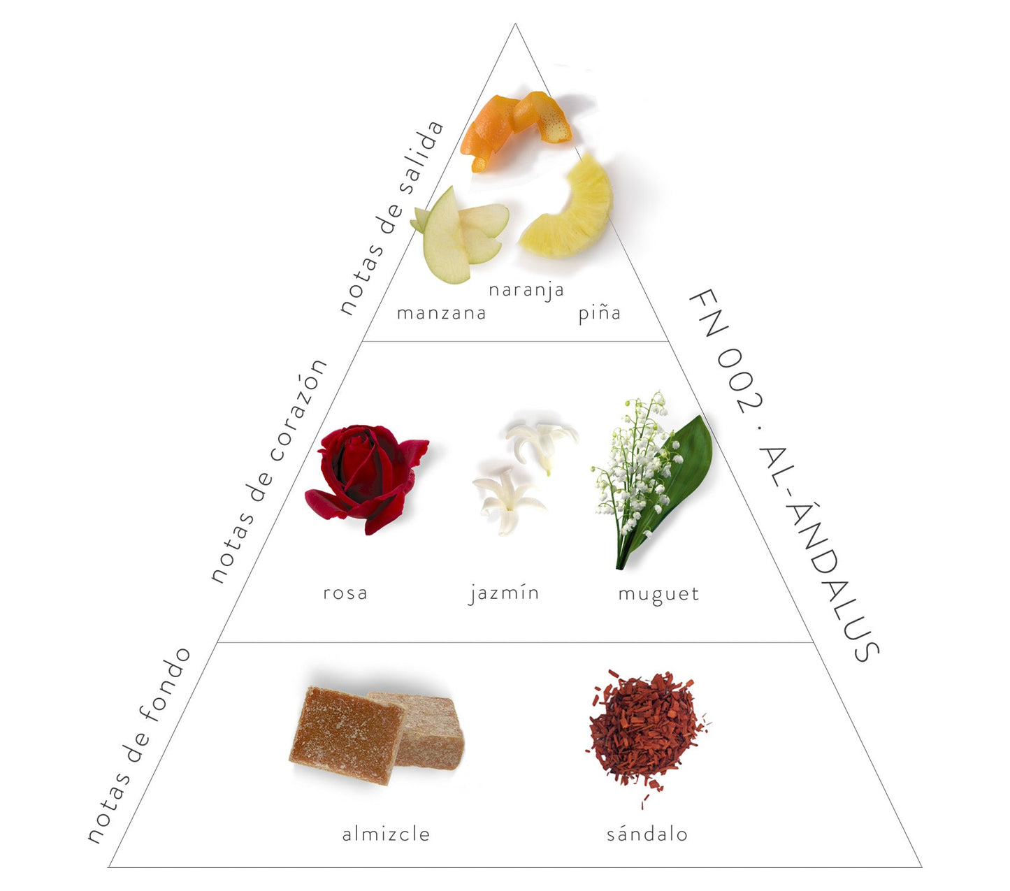 Pirámide Olfativa Al-Ándalus; Notas de salida: manzana, naranja y piña. Notas de corazón: rosa, jazmín y muguet. Notas de fondo; almizcle y sándalo.