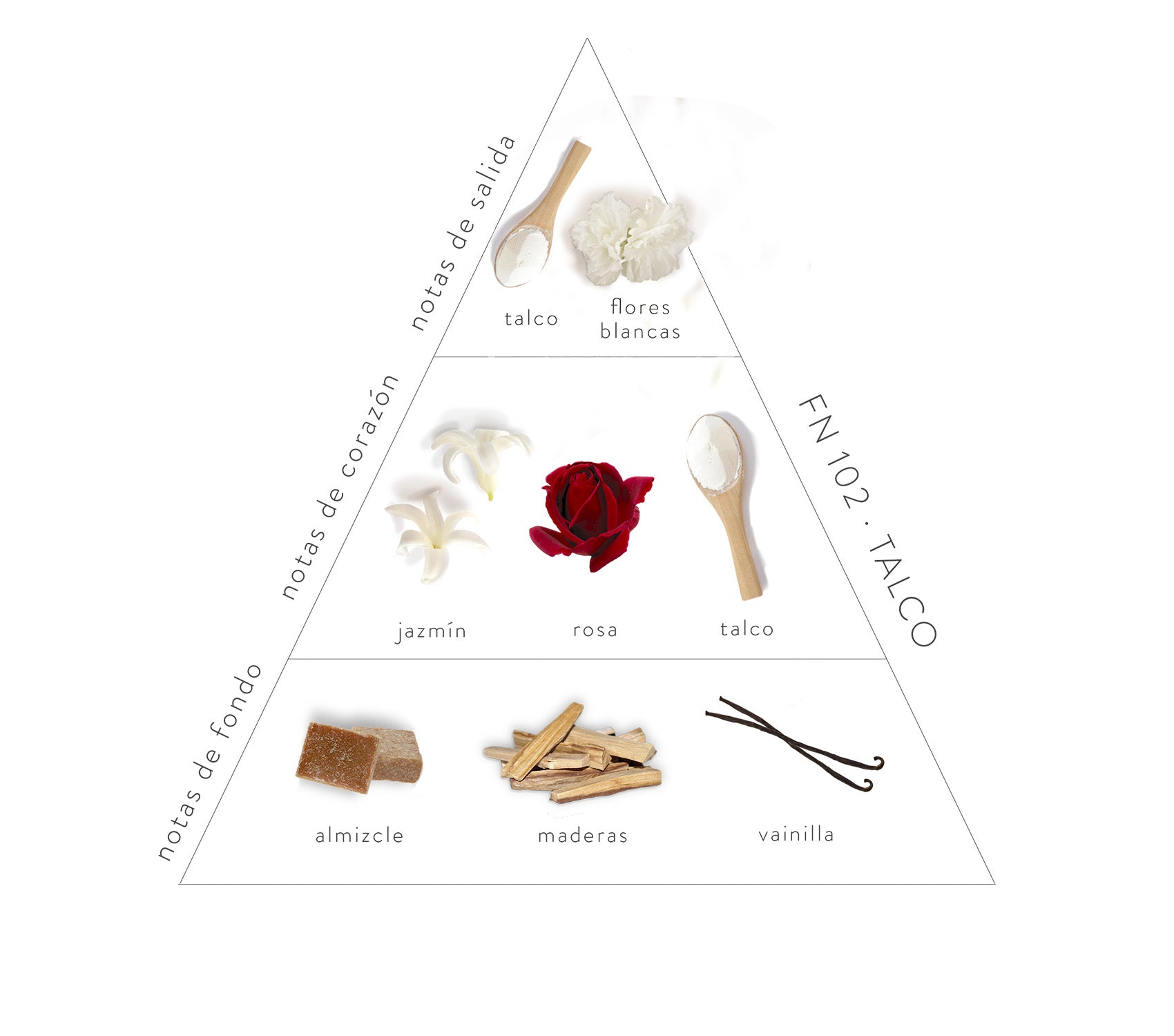 Pirámide Olfativa Talco; Notas de salida: talco y flores blancas. Notas de corazón: Jazmín, rosa y talco. Notas de fondo: Almizcle, maderas y vainilla.