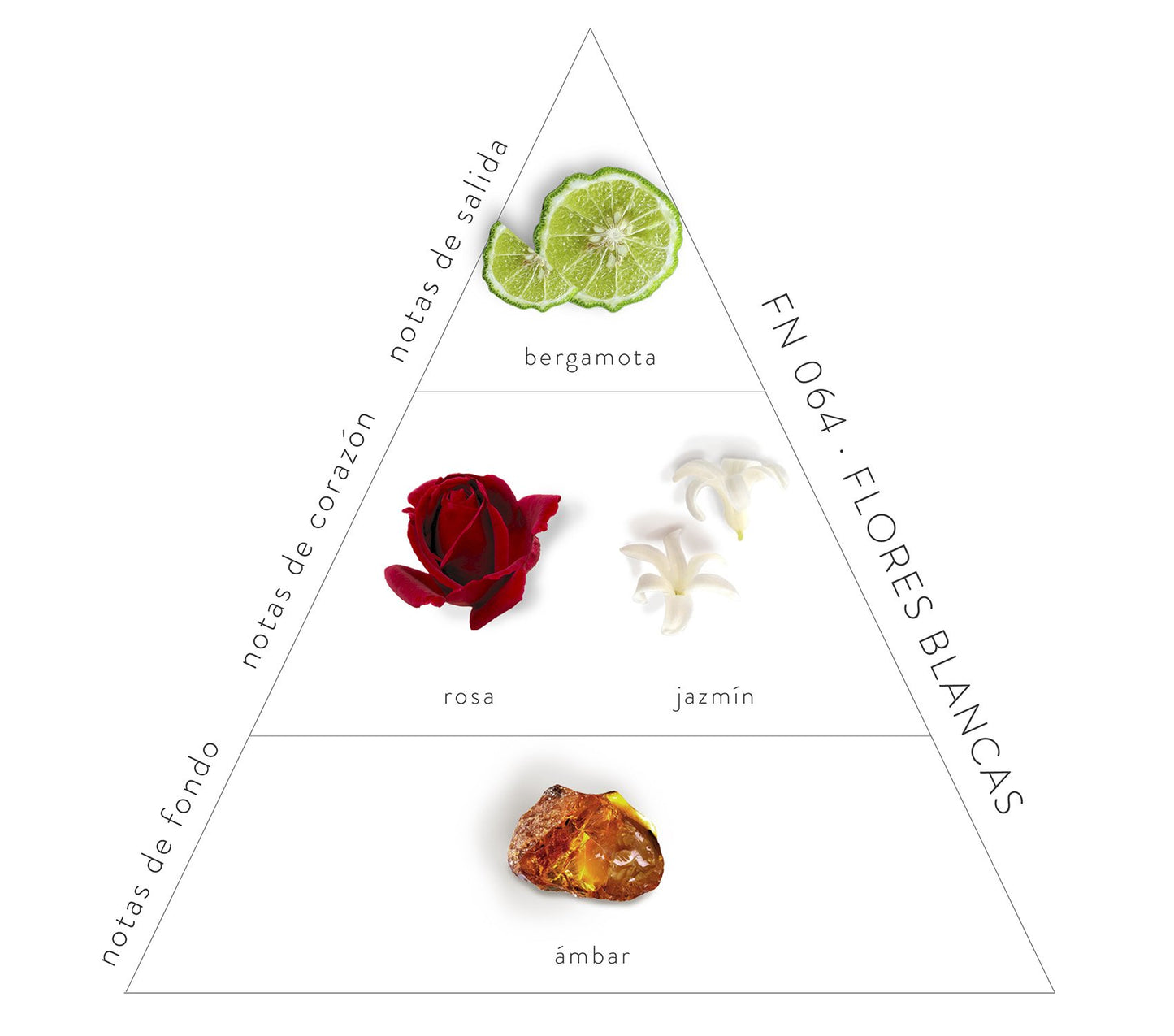 Pirámide Olfativa Flores Blancas Perfume; Notas de salida: bergamota. Notas de corazón: rosa y jazmín. Notas de fondo: ámbar.
