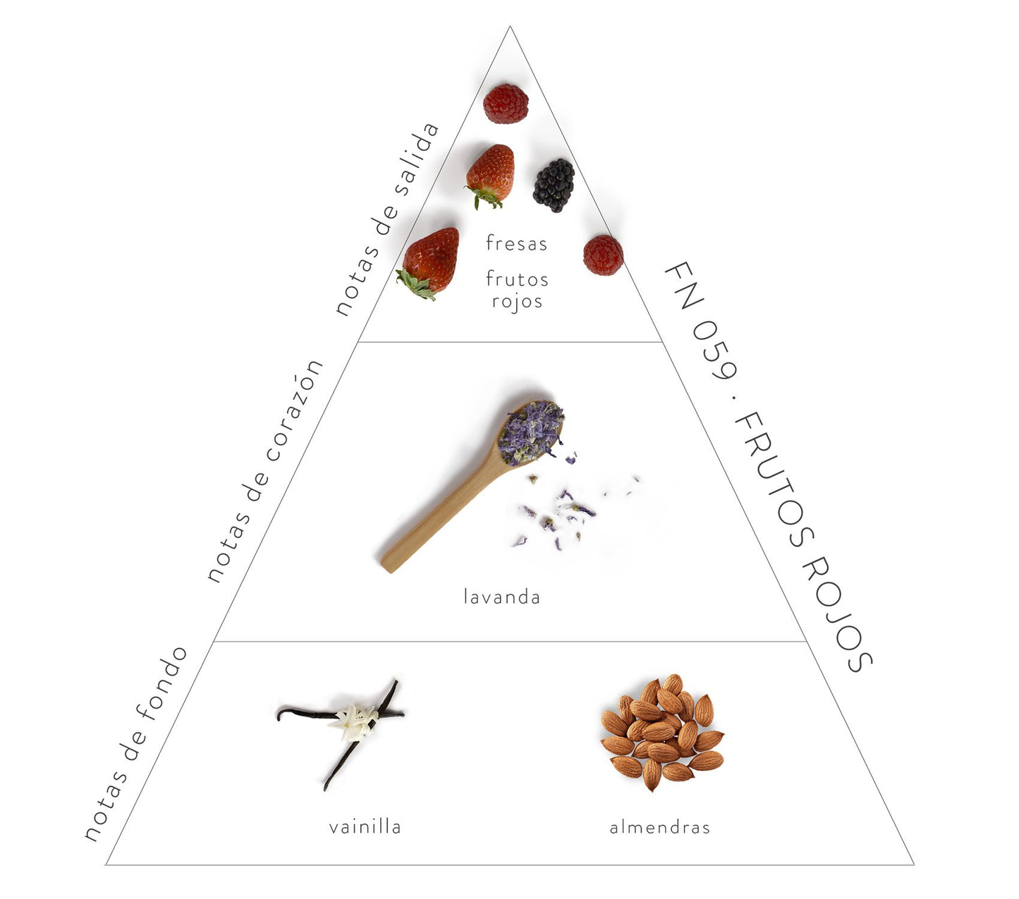 Pirámide Olfativa Frutos Rojos: Notas de salida: fresas y frutos rojos. Notas de corazón: lavanda. Notas de fondo: vainilla y almendras.