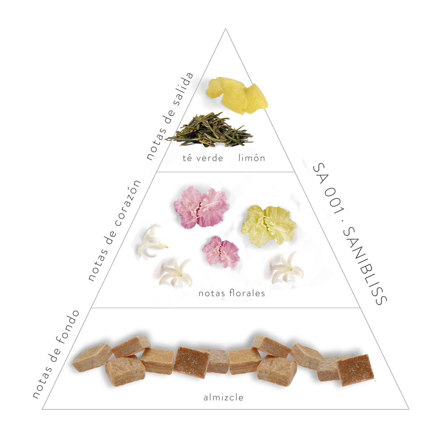 Pirámide Olfativa Sanibliss; notas de salida: té verde y limón. Notas de corazón: notas florales. Notas de fondo: almizcle.