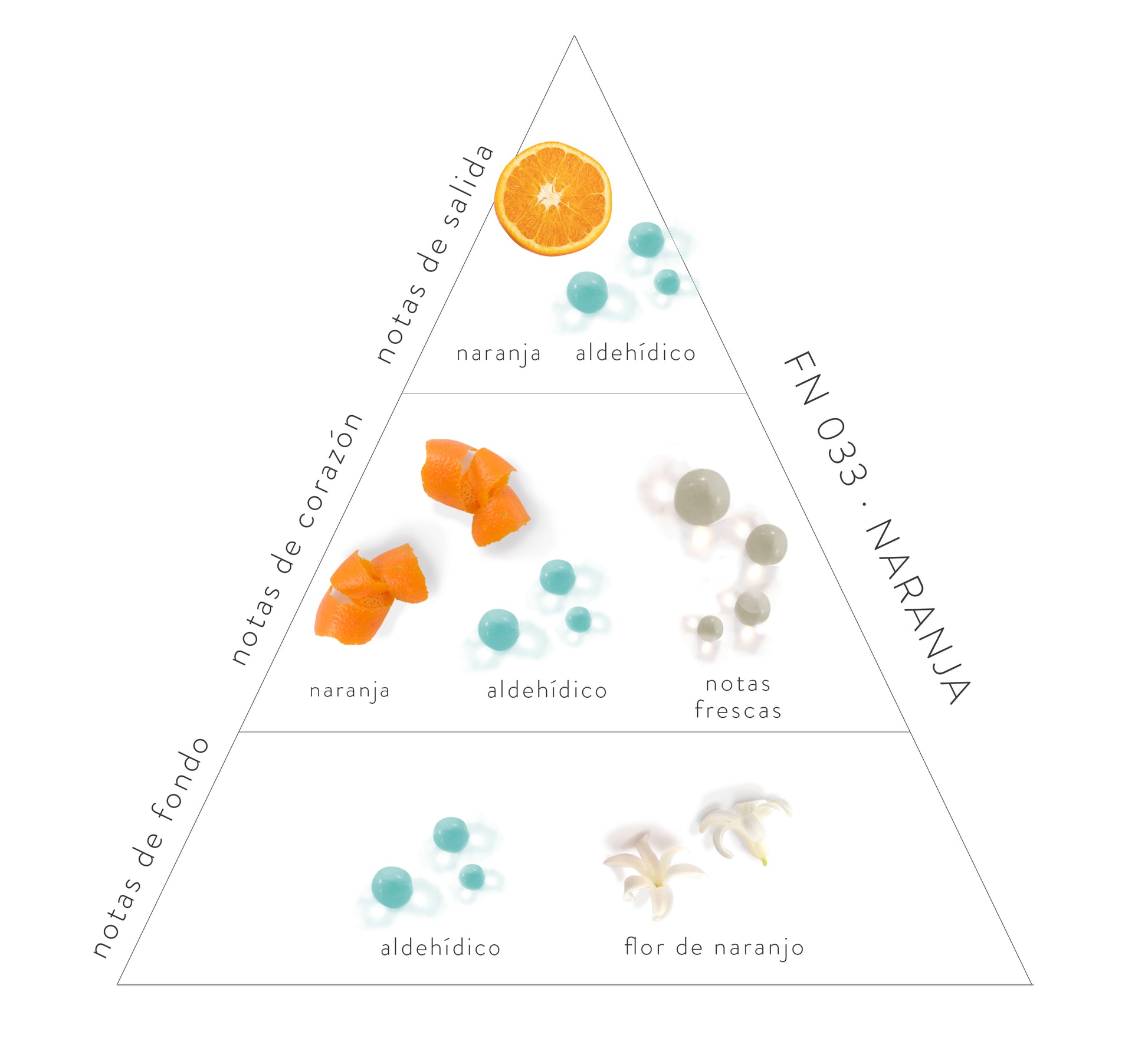 Pirámide Olfativa Naranja: Notas de salida: naranja y aldehídico. Notas de corazón: naranja, aldehídico y notas frescas. Notas de fondo: aldehídico y flor de naranjo